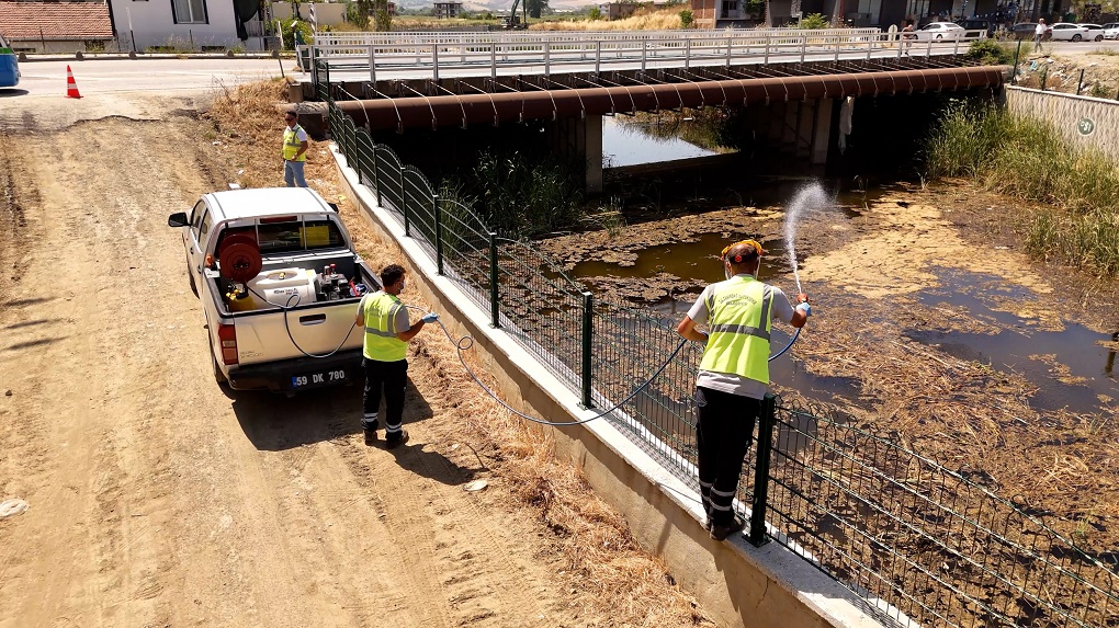 Sivrisinek belasıyla yoğun mücadele