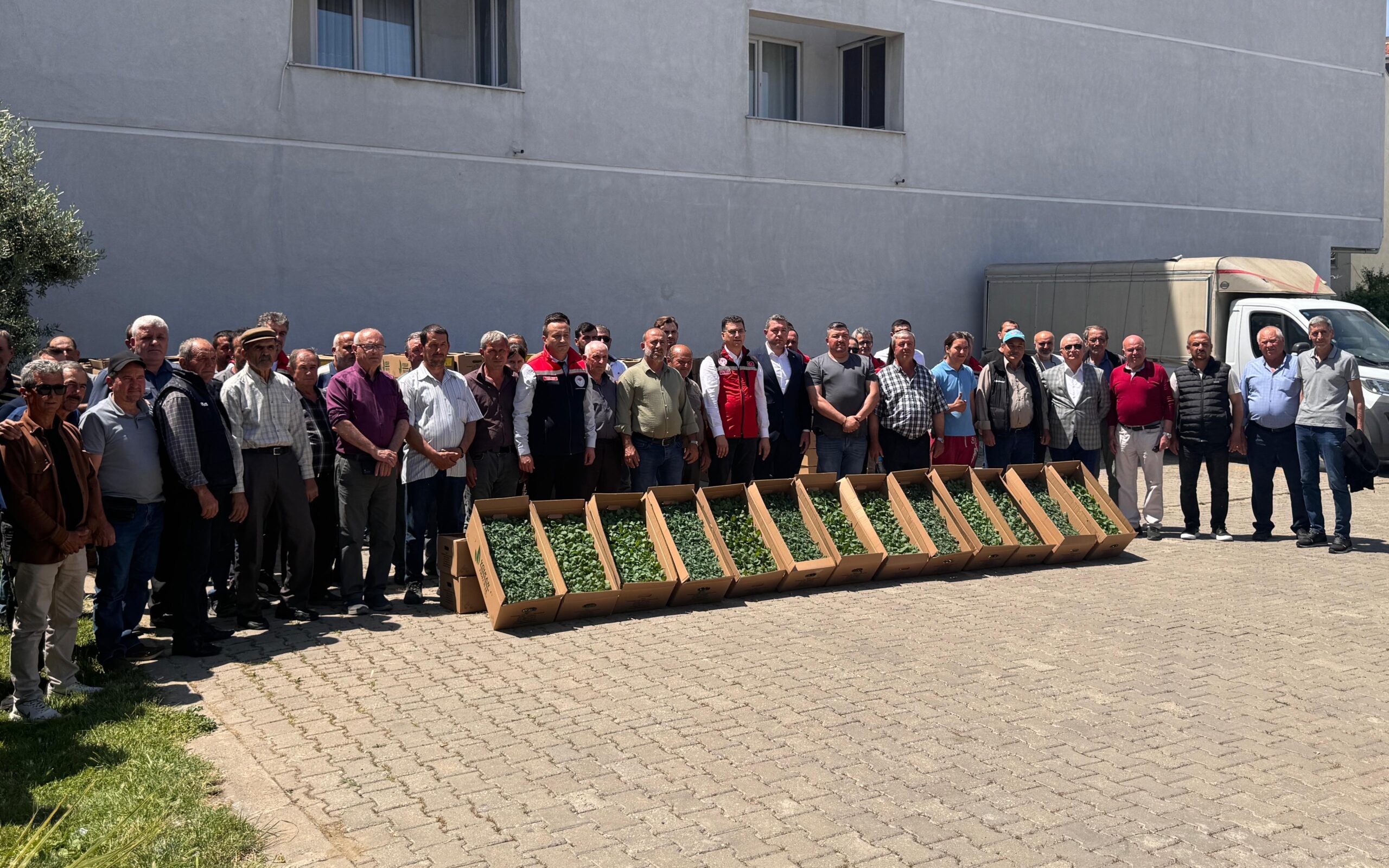 Şarköy’de üreticilere fide dağıtıldı