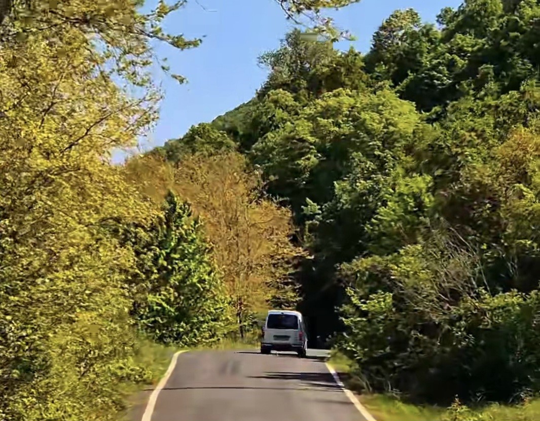 Tekirdağ’da ormanlara giriş yasaklandı!