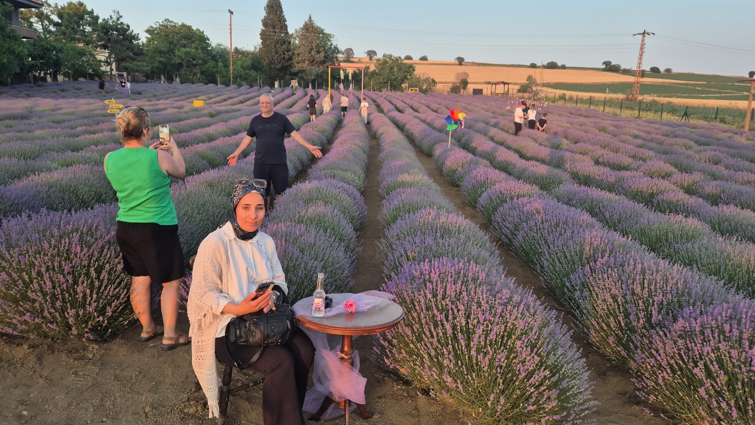 Lavanta tarlaları şenlendi