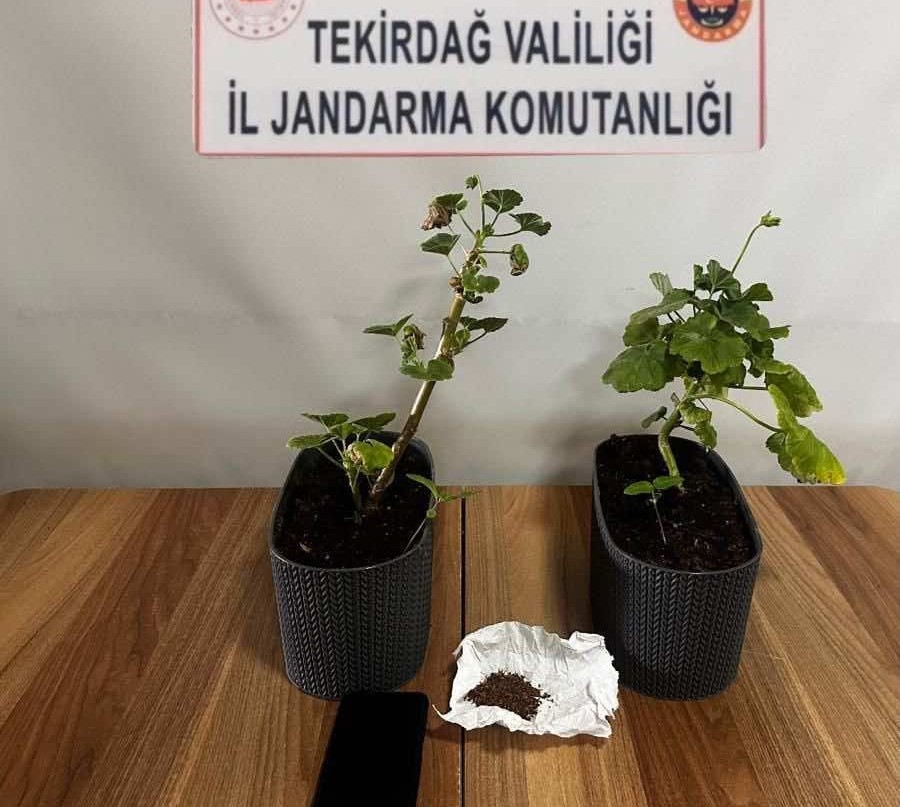 Uyuşturucu operasyonlarında 8 şüpheliye işlem