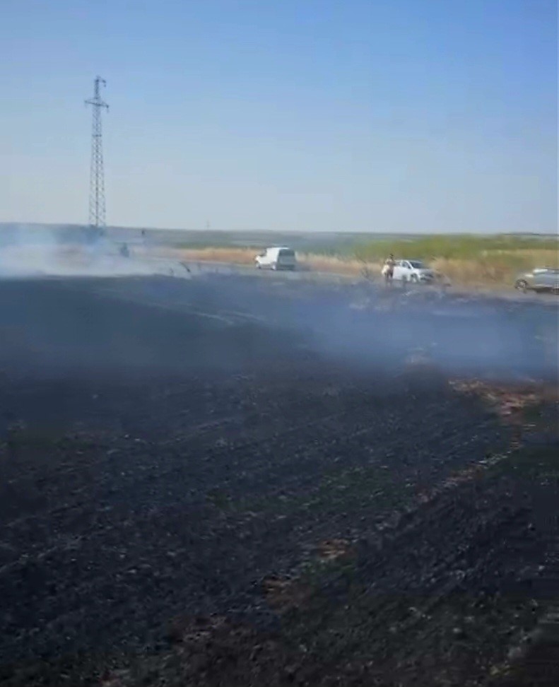 Babaeski’de tonlarca buğday tarlada yandı