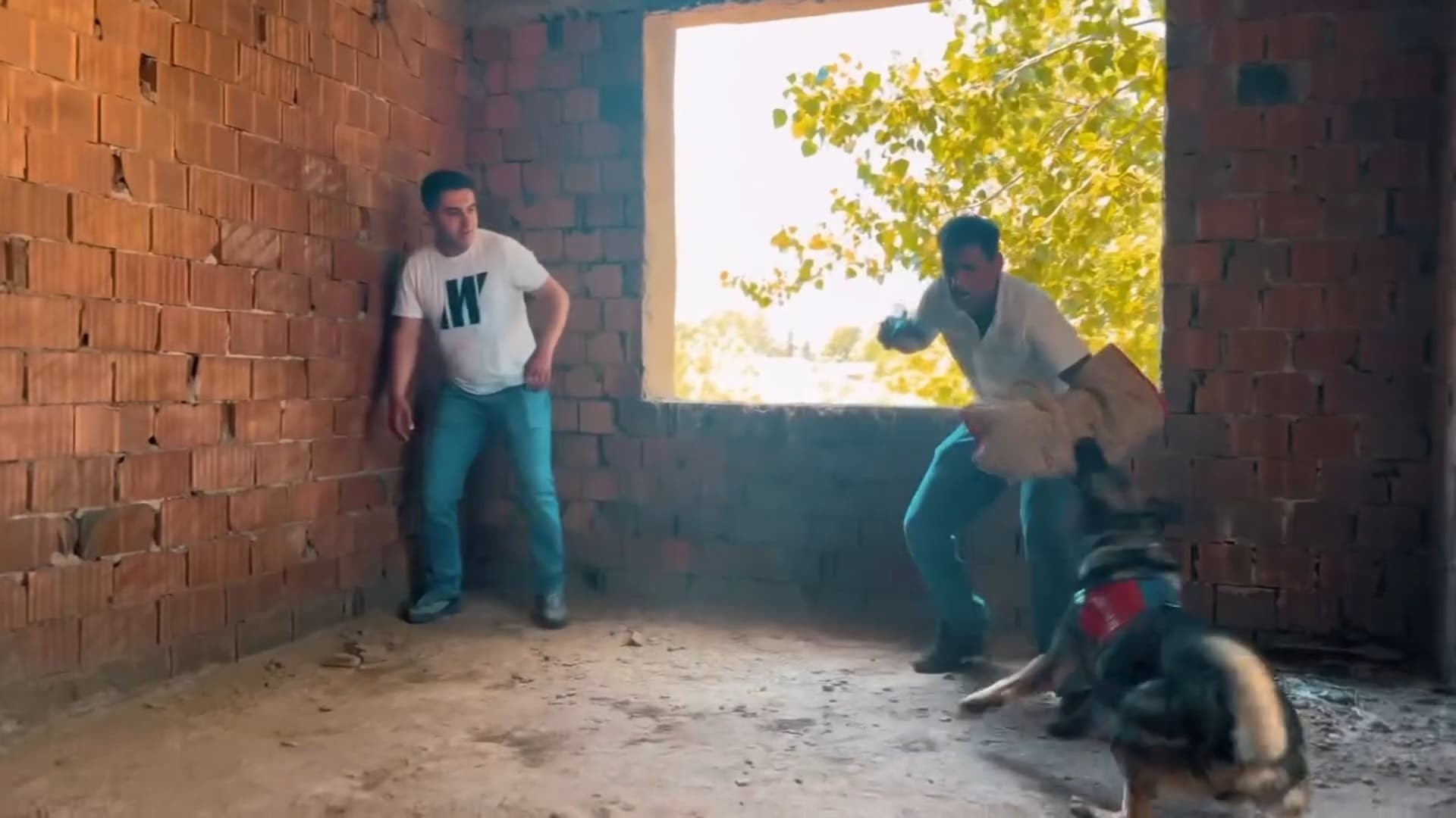 Rehine kurtarma tatbikatı gerçeği aratmadı