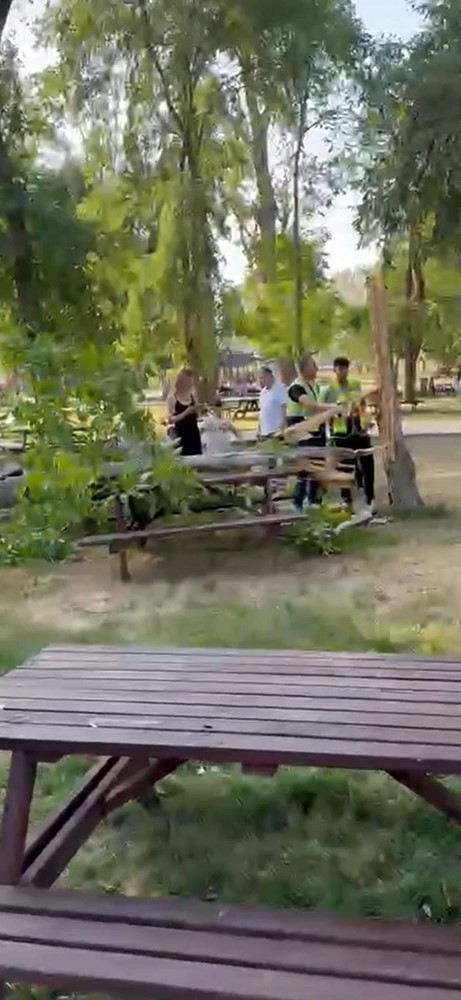 Faciaya kılpayı: Piknik masasına ağaç devrildi