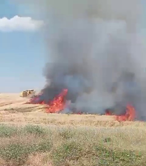 Uyarılara ve önlemlere rağmen yangınlar artıyor