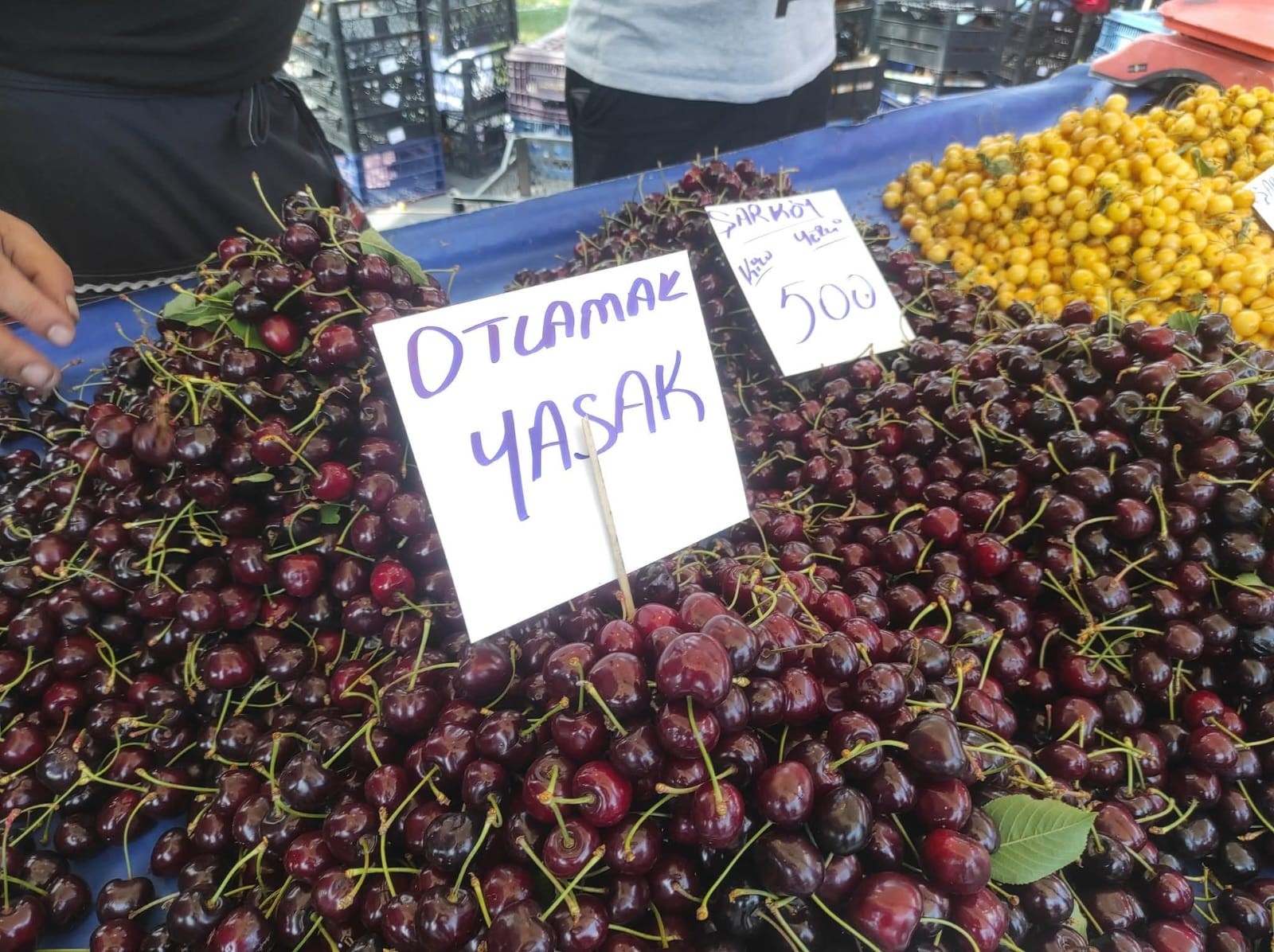 İşgüzar esnaf sosyal medyanın diline düştü