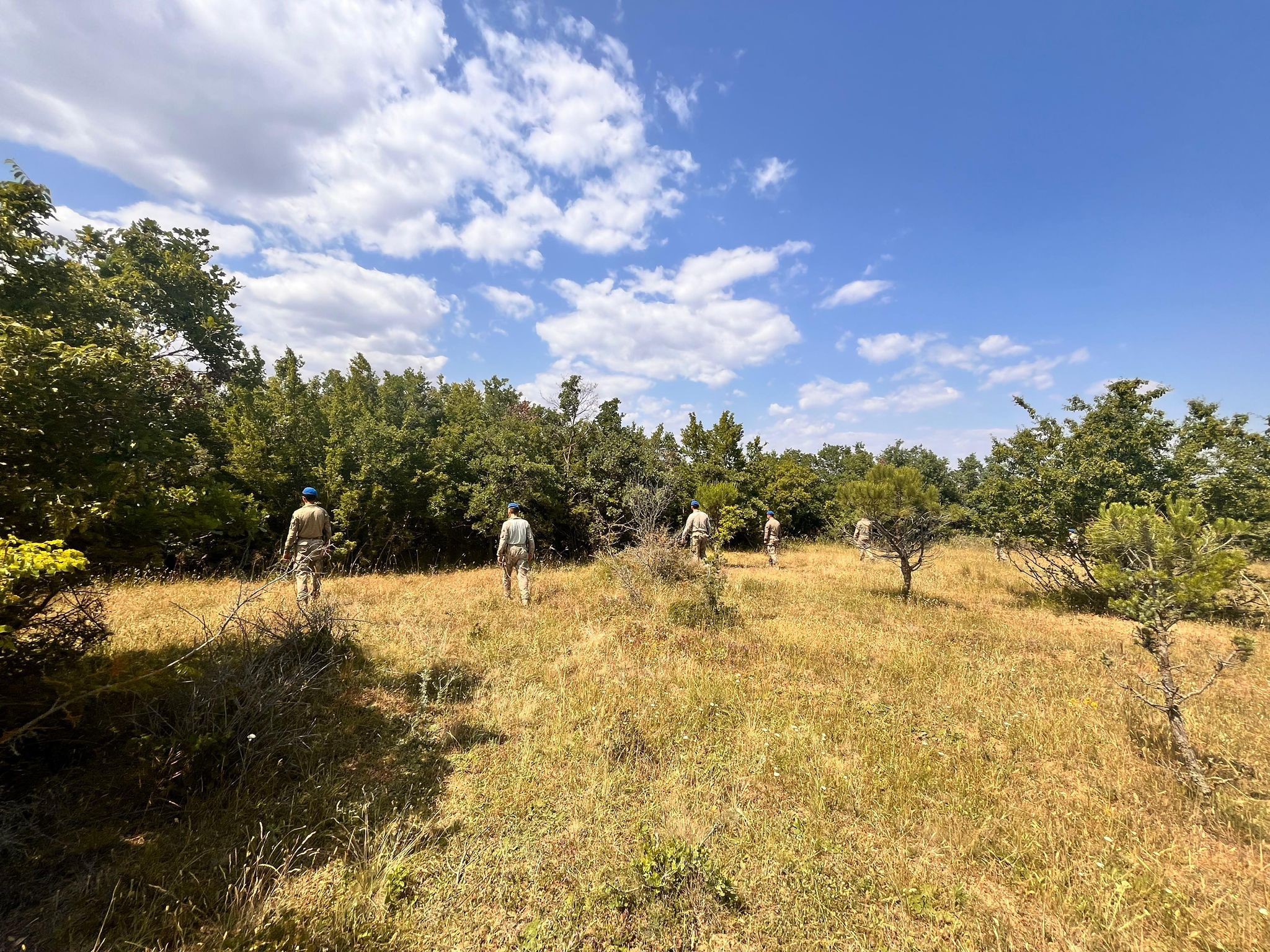 Jandarmalar ormanda nöbette