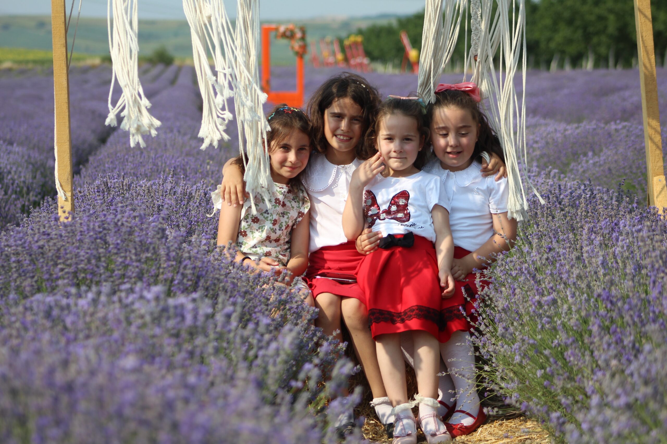 Mor lavanta tarlaları görsel şölen sunuyor