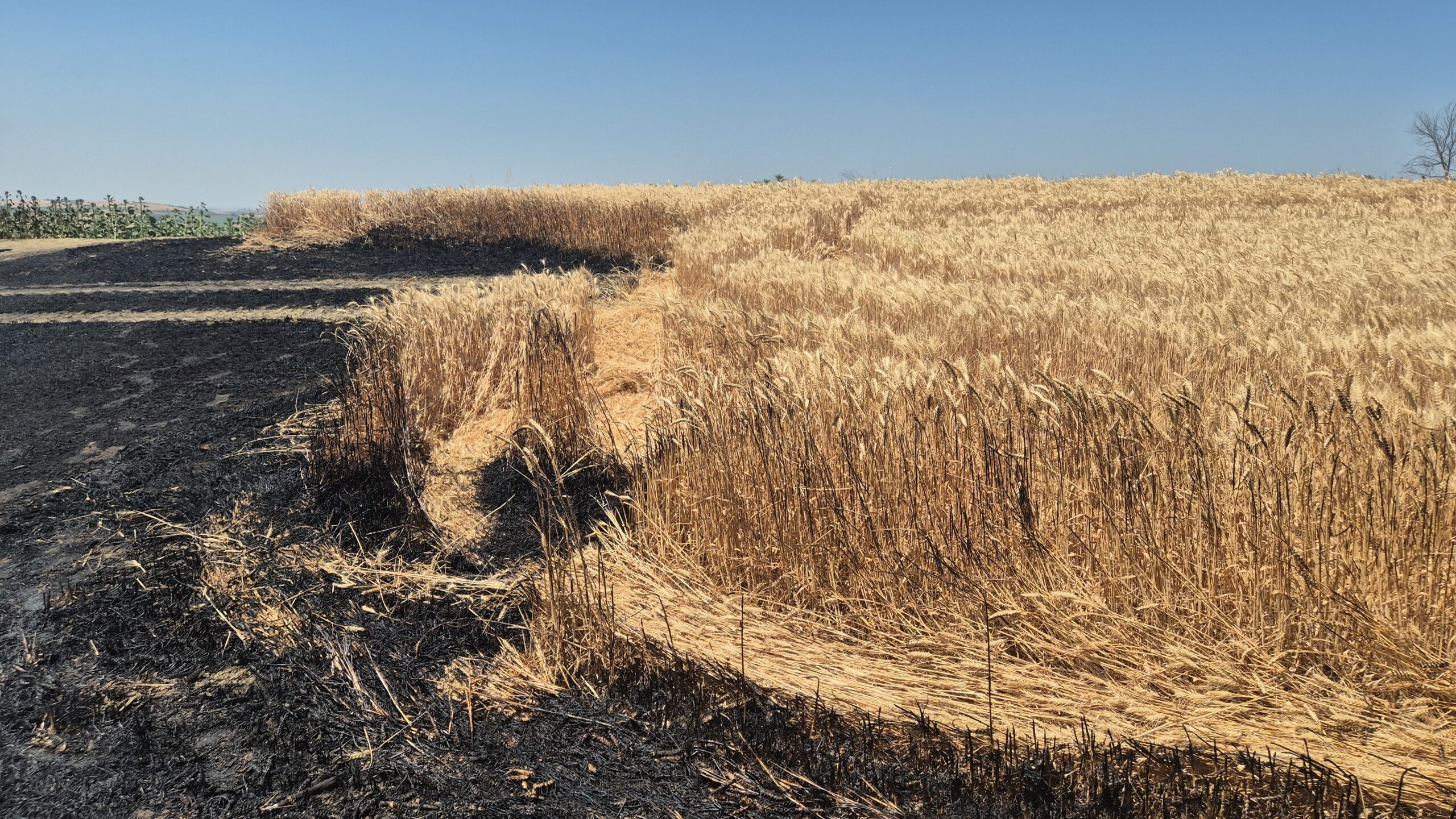 Yangınlar konusunda uyarı üstüne uyarı!
