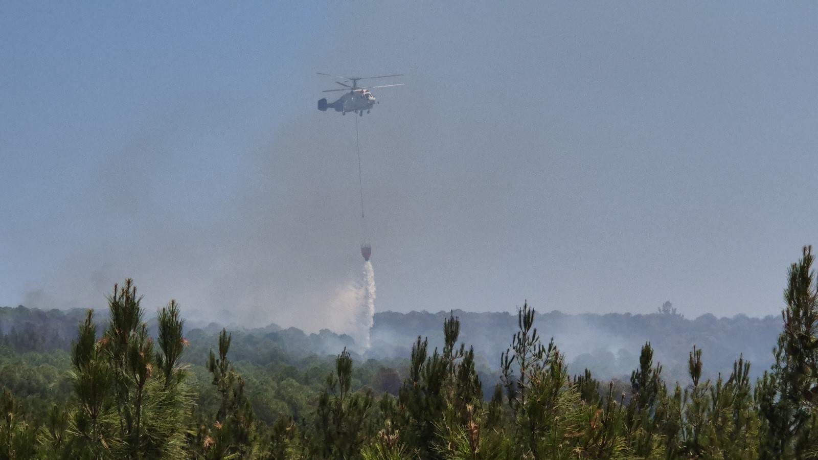Şarköy’de orman yangını