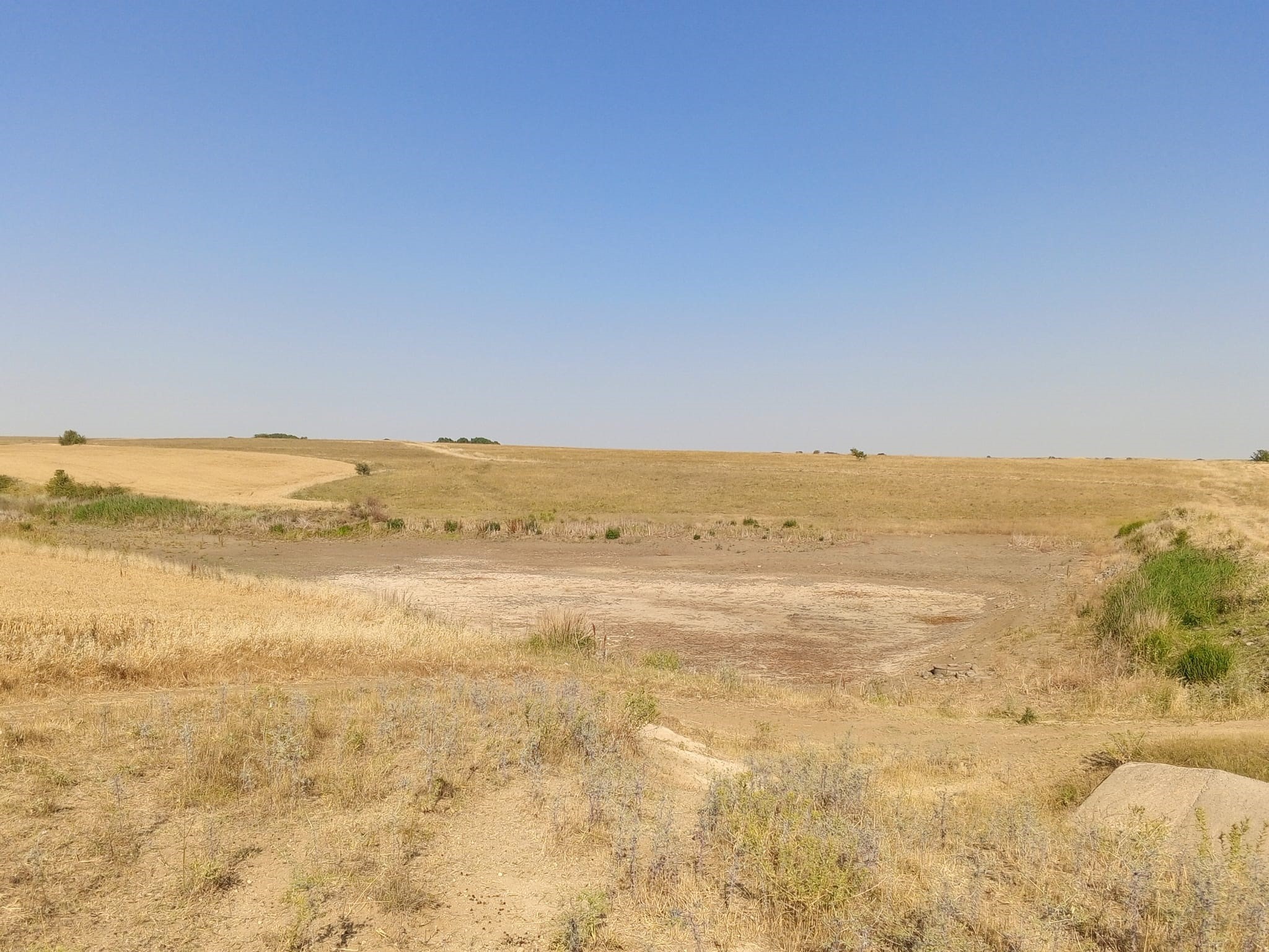 Göletler kurudu, tehdit büyüyor