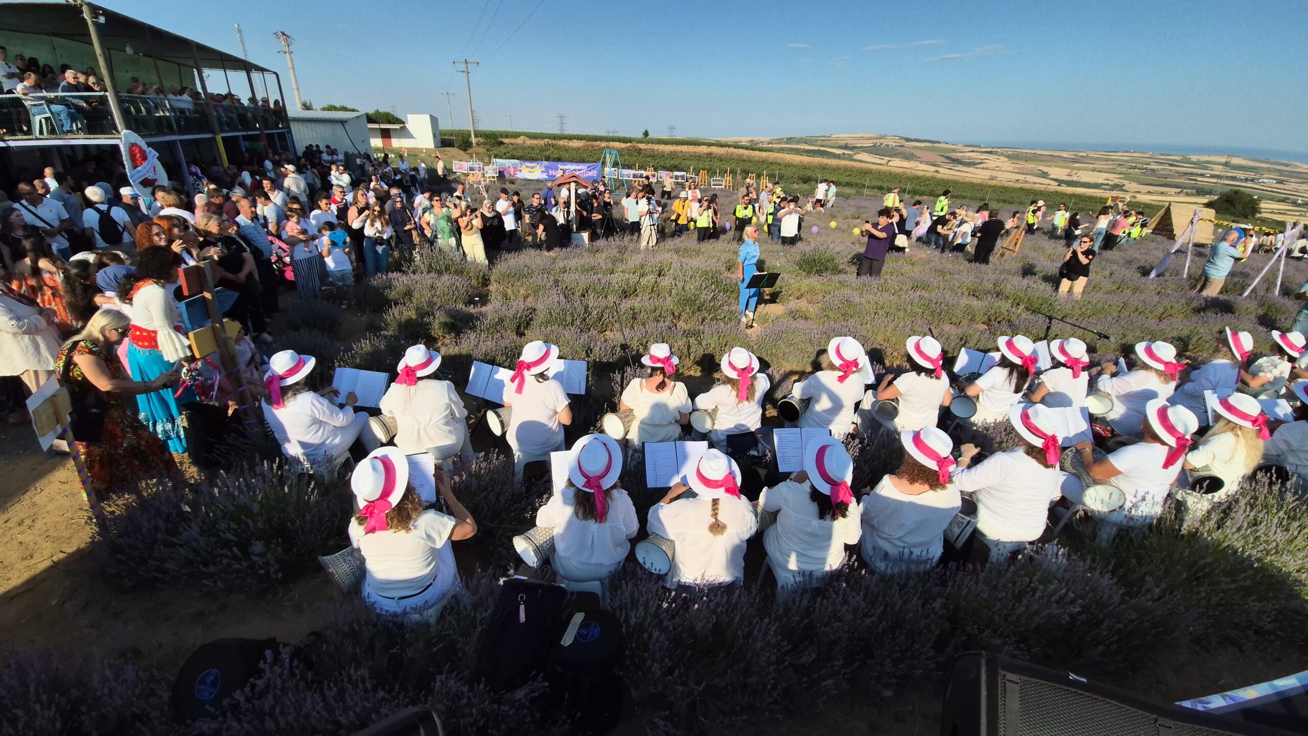 Lavanta şenliği rengarenk görüntüler oluşturdu