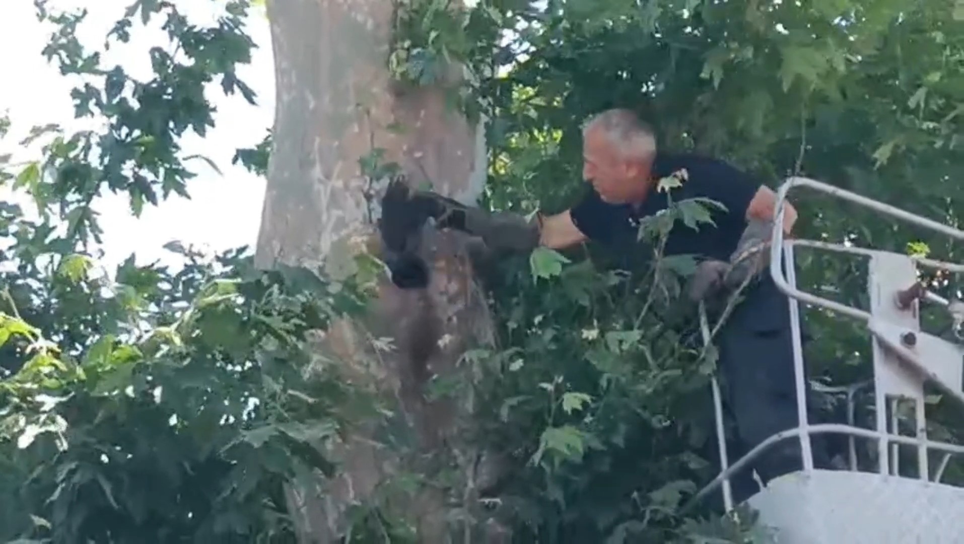 Karga kurtarma operasyonu başarıyla sonuçlandı!