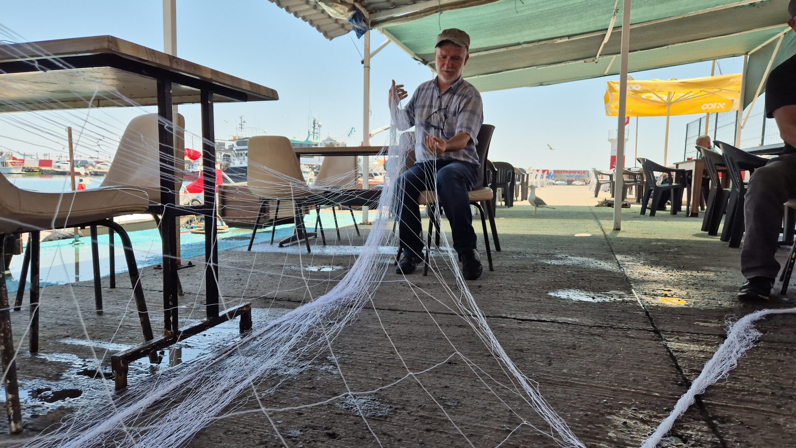 Tekirdağlı balıkçıların ağlarına hırsız yunuslar dadandı!