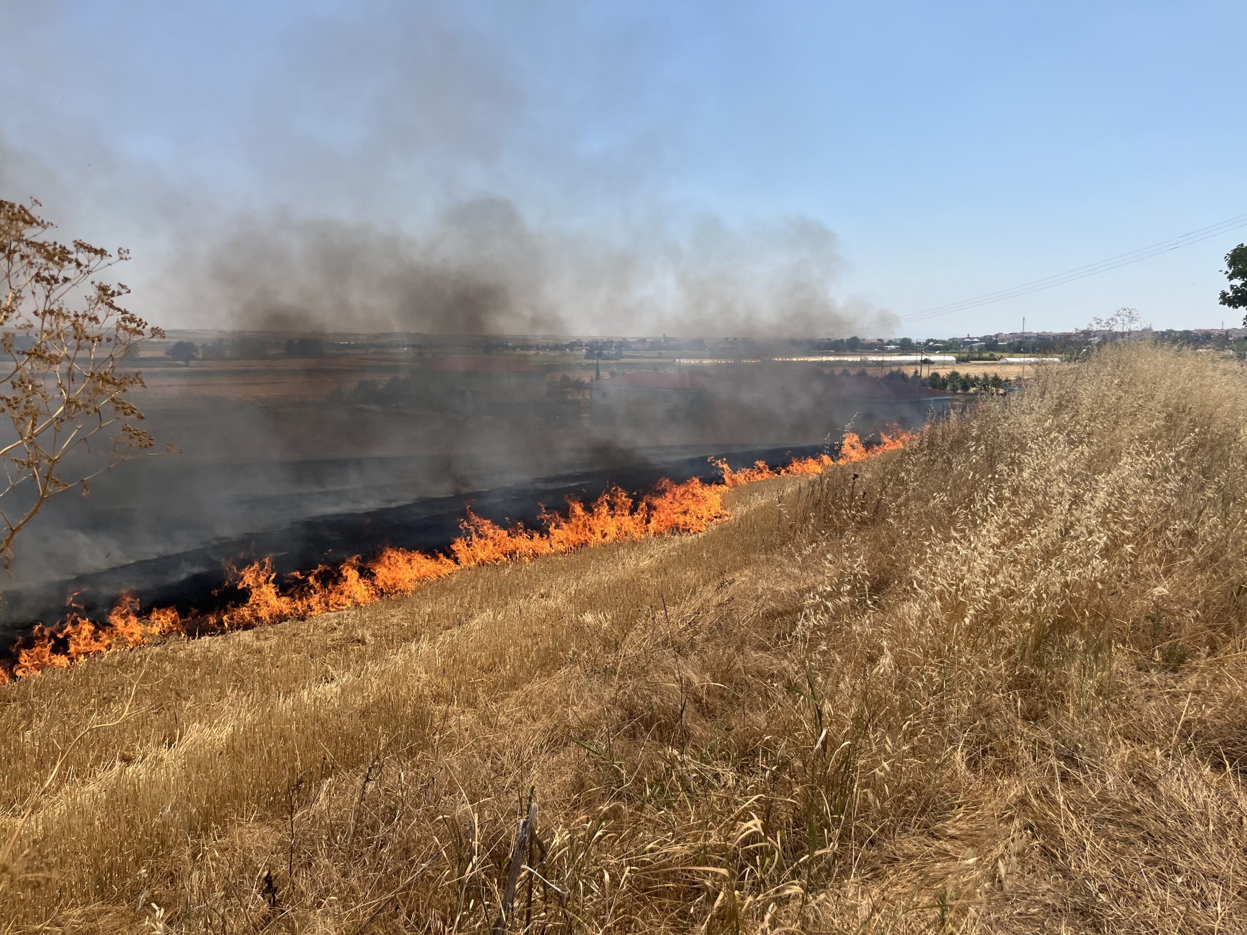 Hayrabolu’da tarla yangını: 830 dekarlık alan zarar gördü