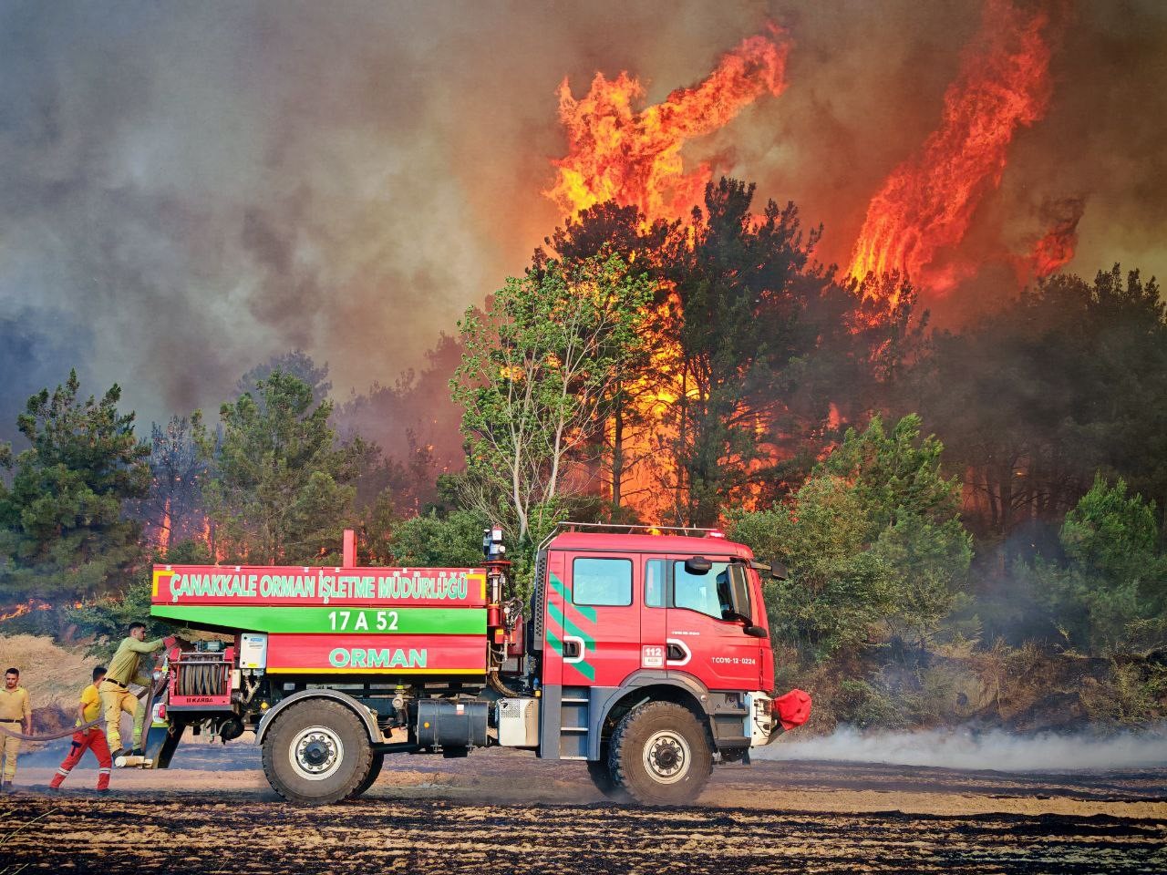 Keşan’da orman yangını büyümeden söndürüldü