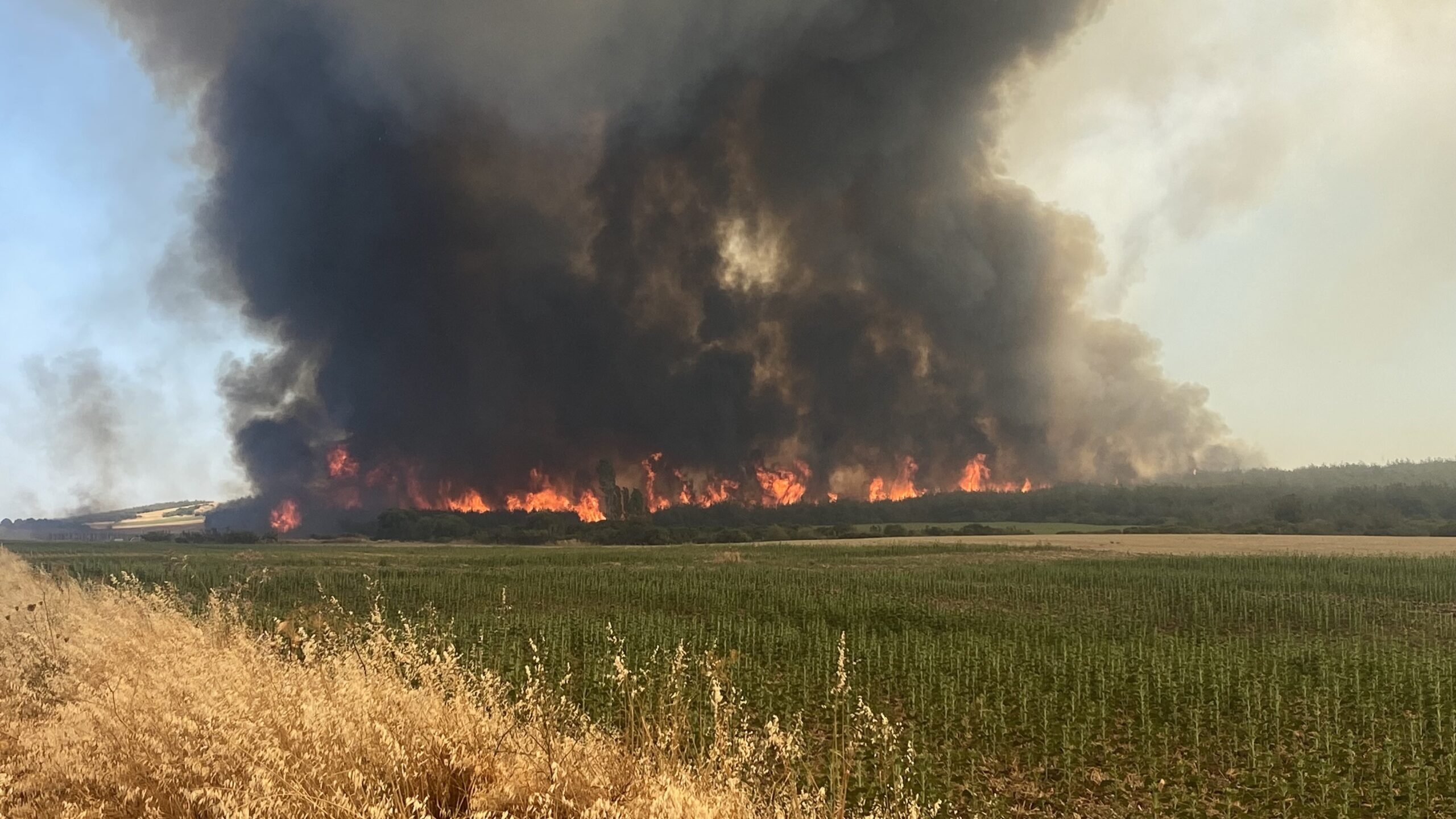 Yangın nedeniyle karayolu trafiğe kapatıldı