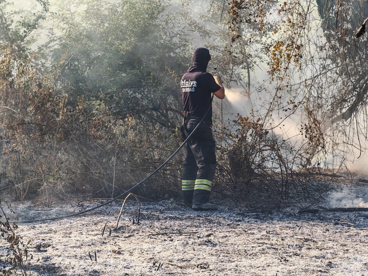 Malkara’da anız yangını ormana sıçradı