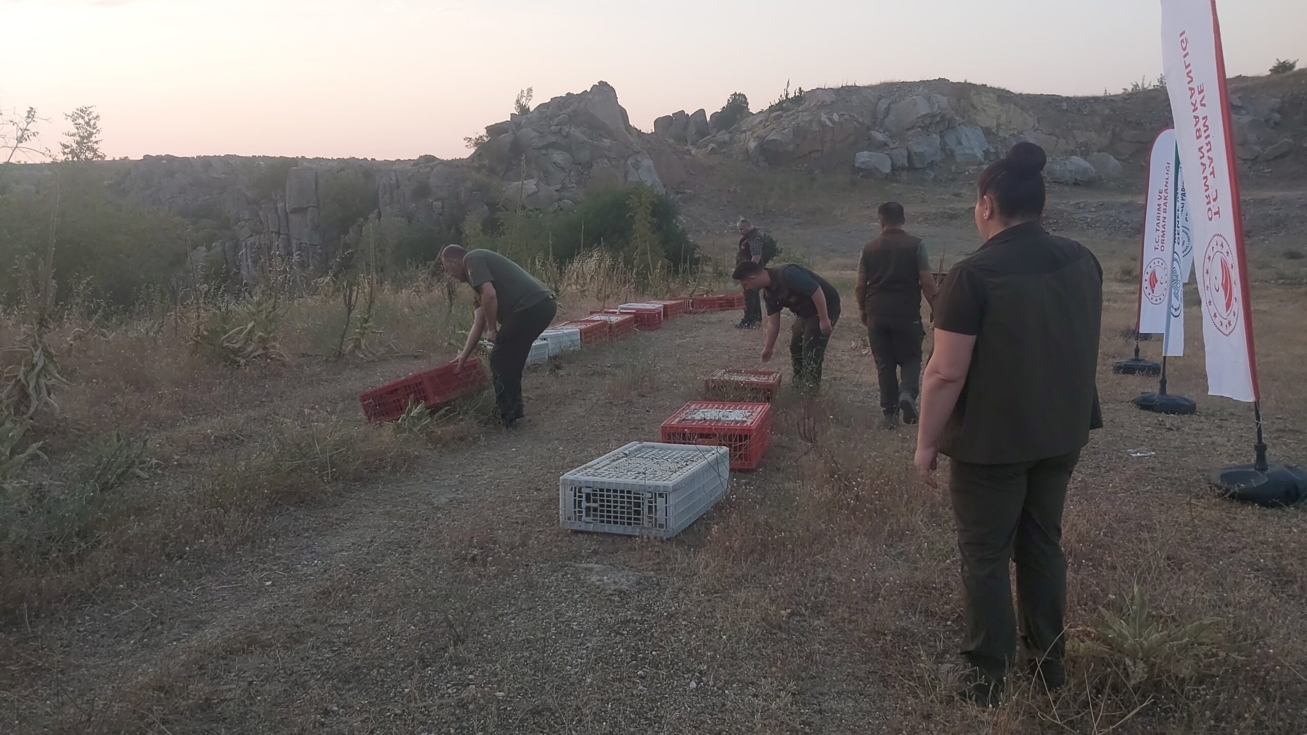 Kırklareli’nde doğaya keklik bırakıldı
