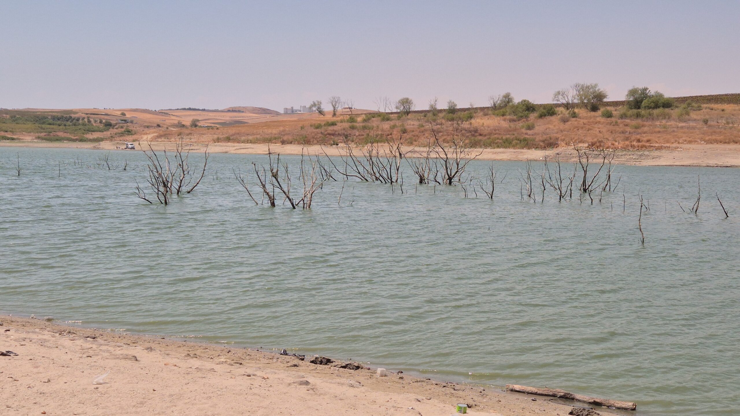 Türkmenli Göleti kurudu, ağaçlar ortaya çıktı