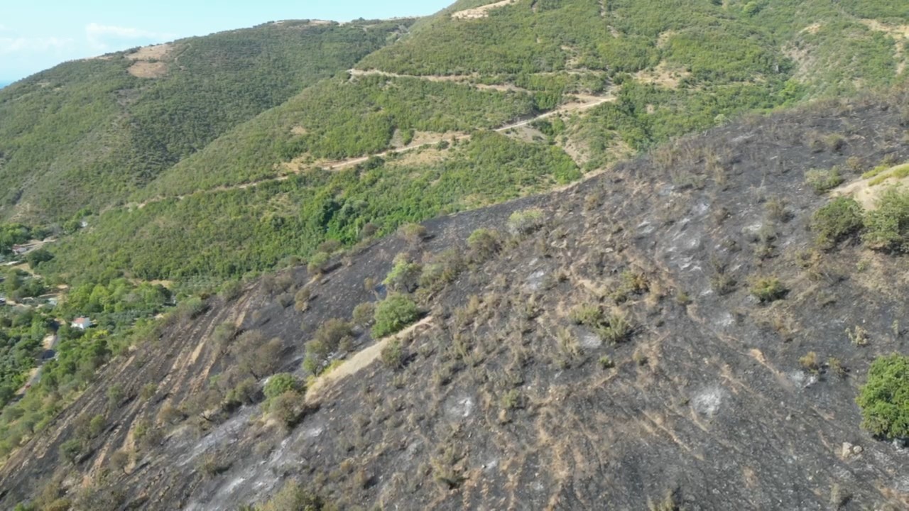 Uçmakdere’deki yangın kontrol altına alındı