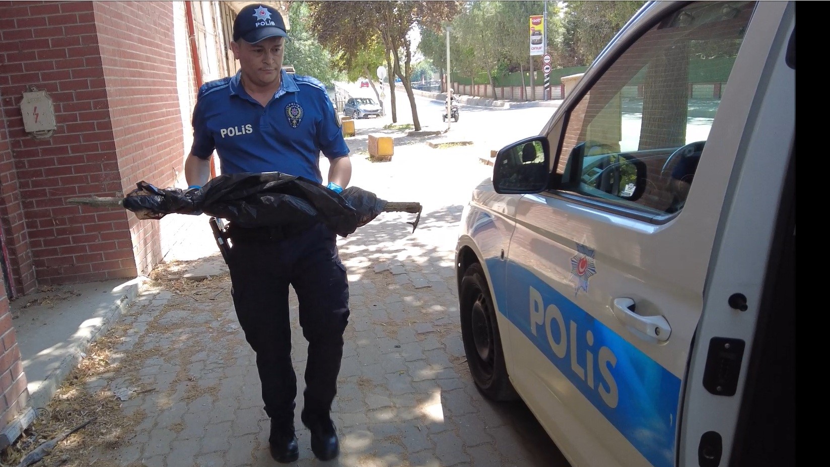 Bu tüfek öyle bir yerden çıktı ki!