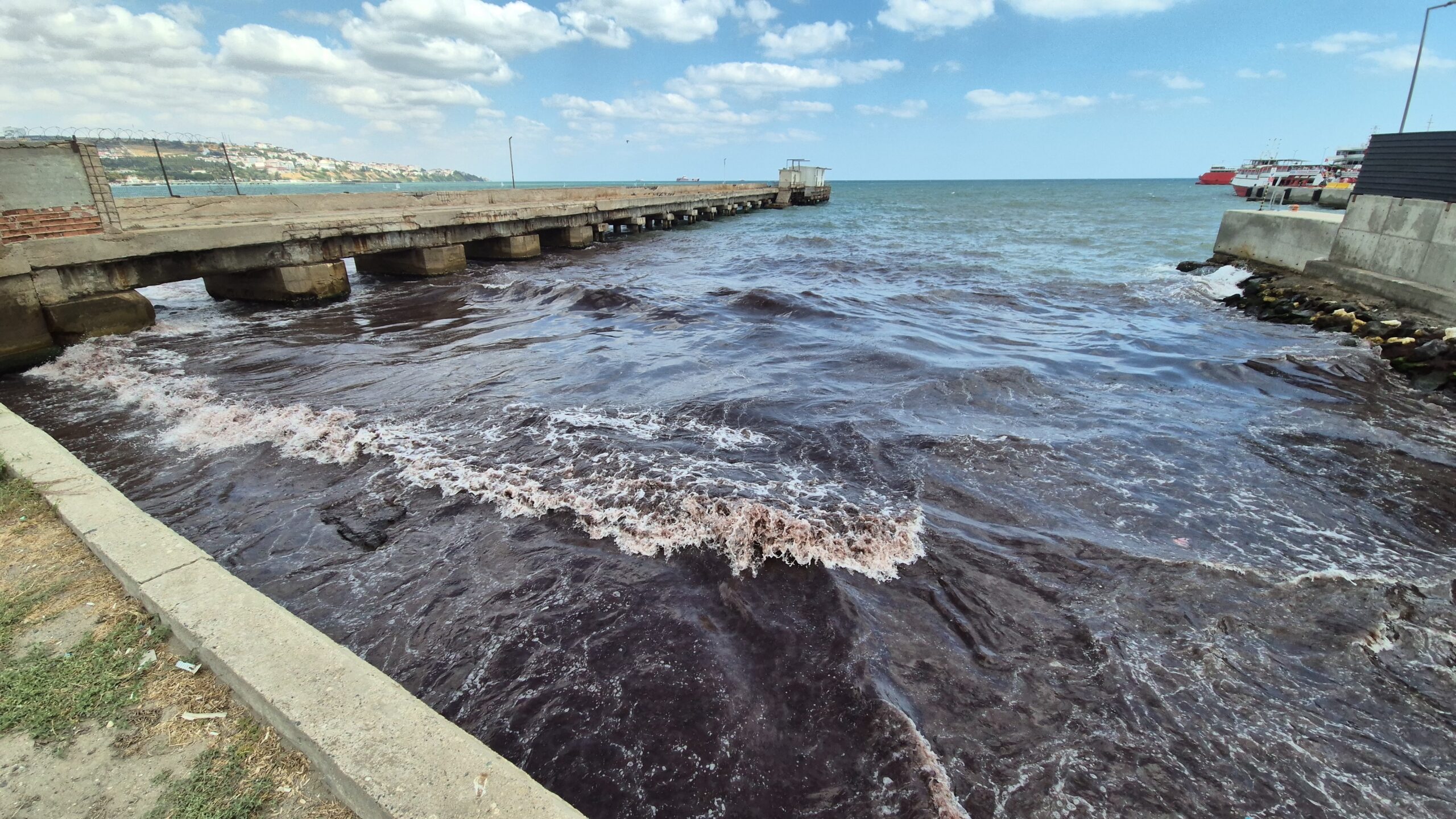 Süleymanpaşa kızıl yosunlara büründü