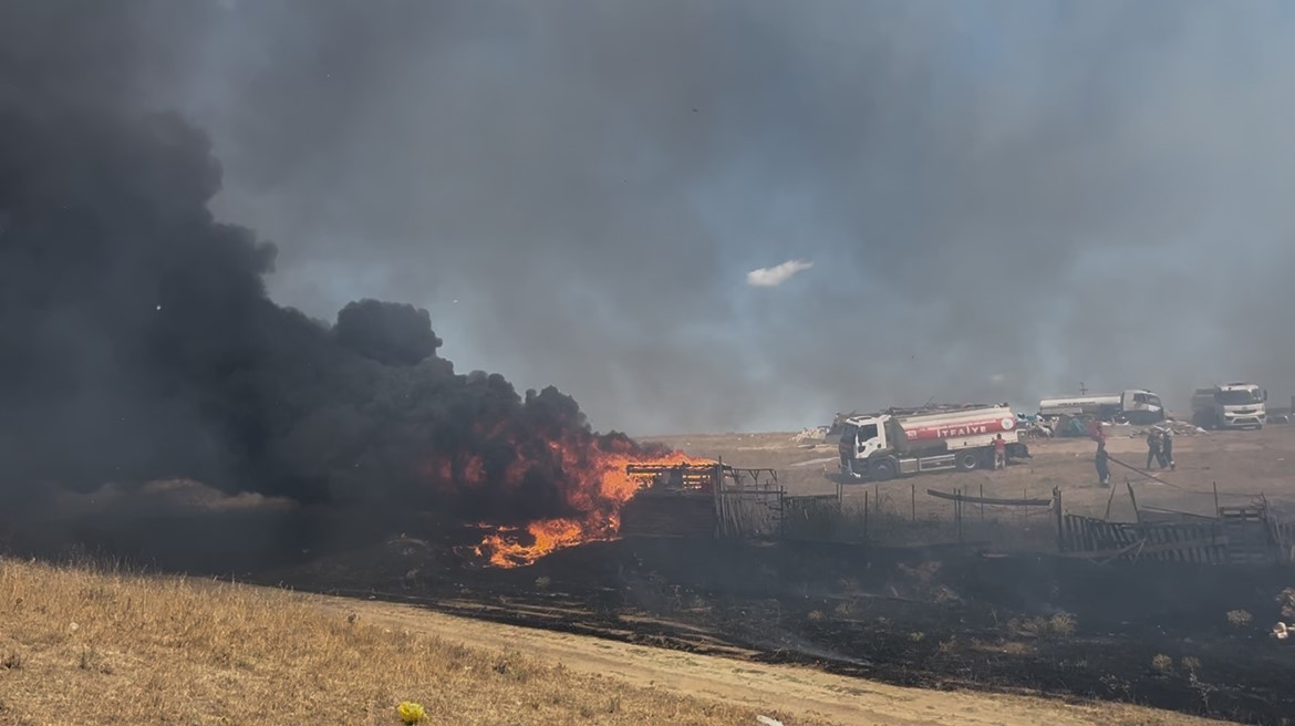 Besi çiftliği yandı: Koyunlar kurtarıldı