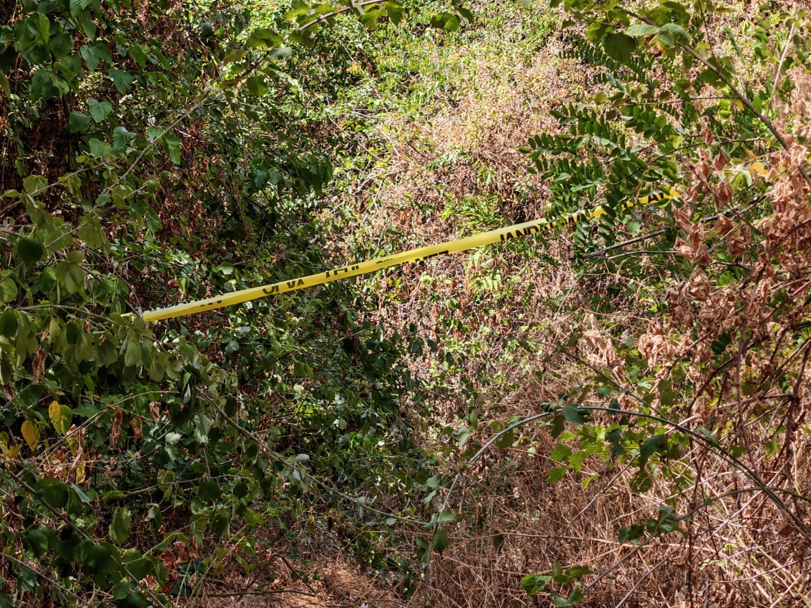 Kayıp kadın cansız bulundu