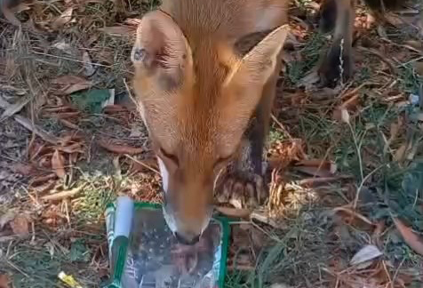Çok güzel hareketler bunlar!
