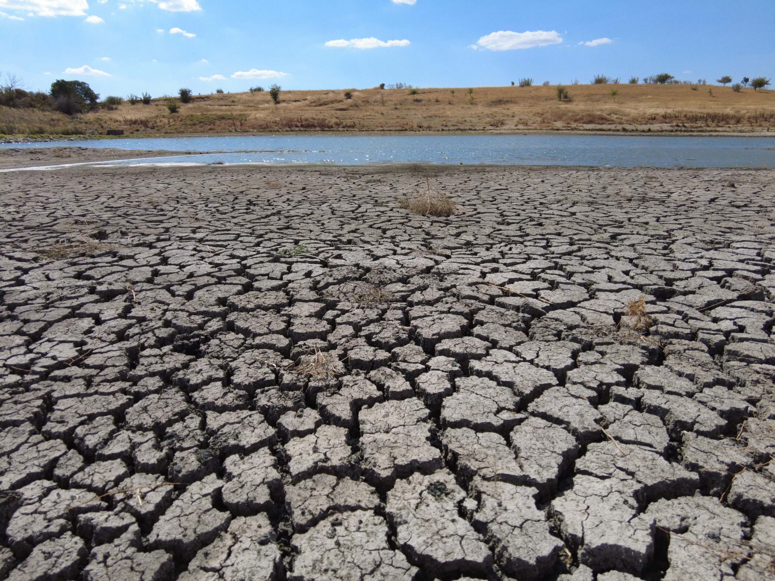 Akardere Göleti kurudu