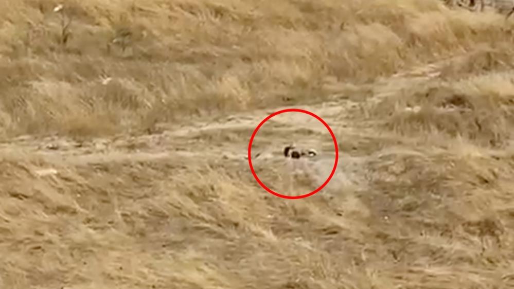 Açık arazide seks yapan gençler gözaltına alındı