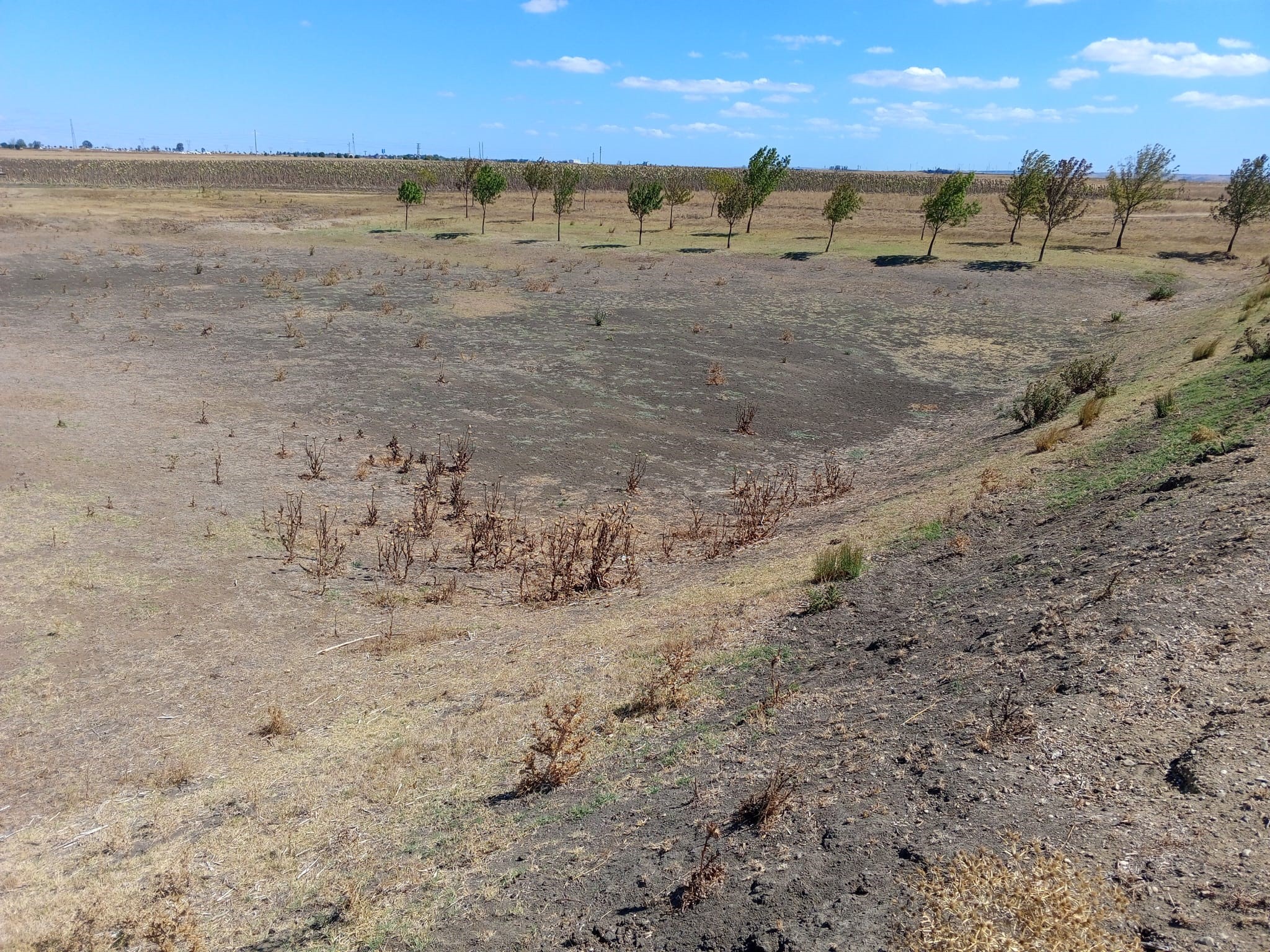 Ballıhoca Sulama Göleti tamamen kurudu