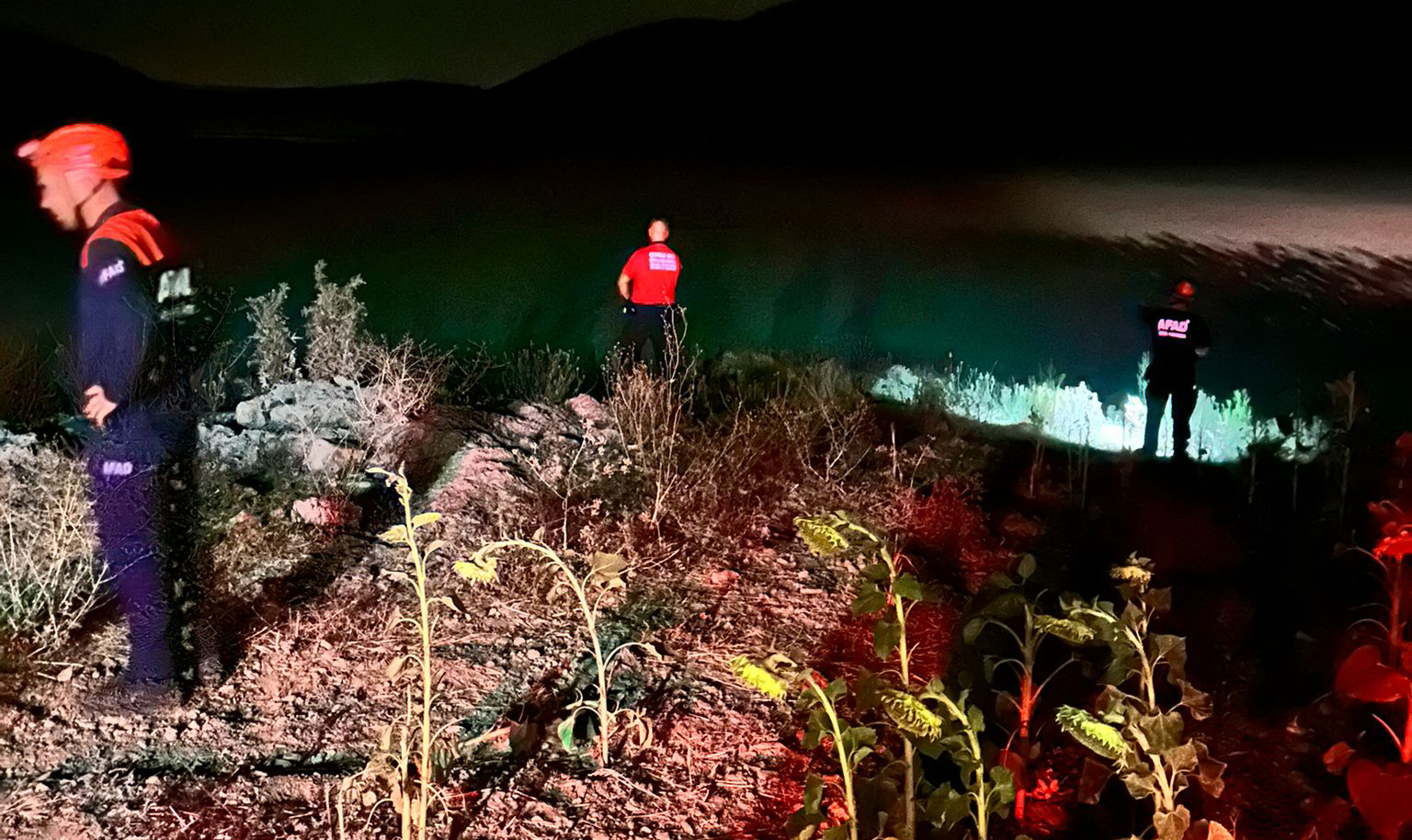 Kayıp kadın gece gündüz aranıyor