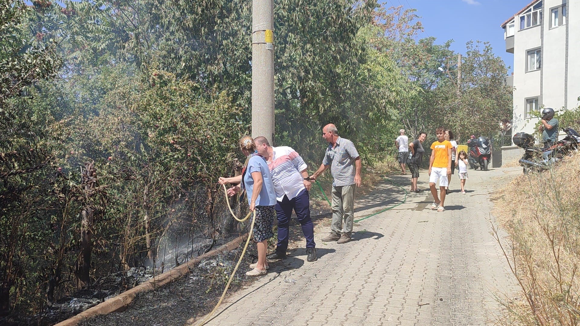 Haylaz çocuklar mahalleyi ateşe verdi!
