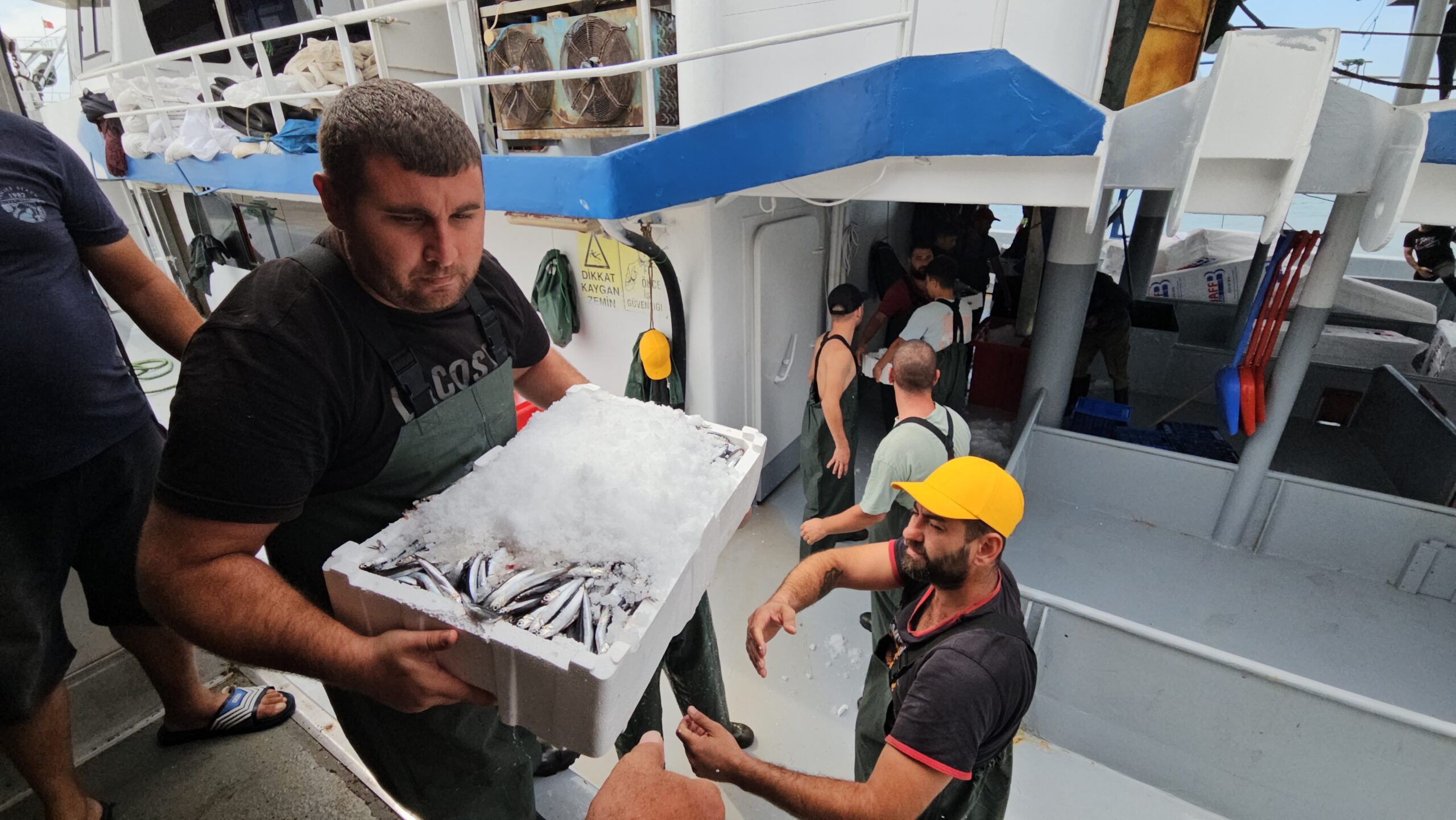 Vatandaş, balığın ucuzlamasını bekleyecek