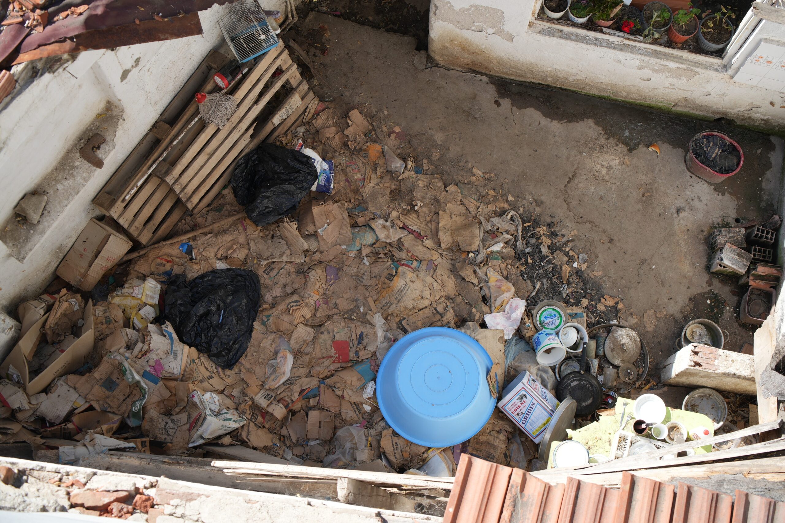 Edirne’yi fareler bastı!
