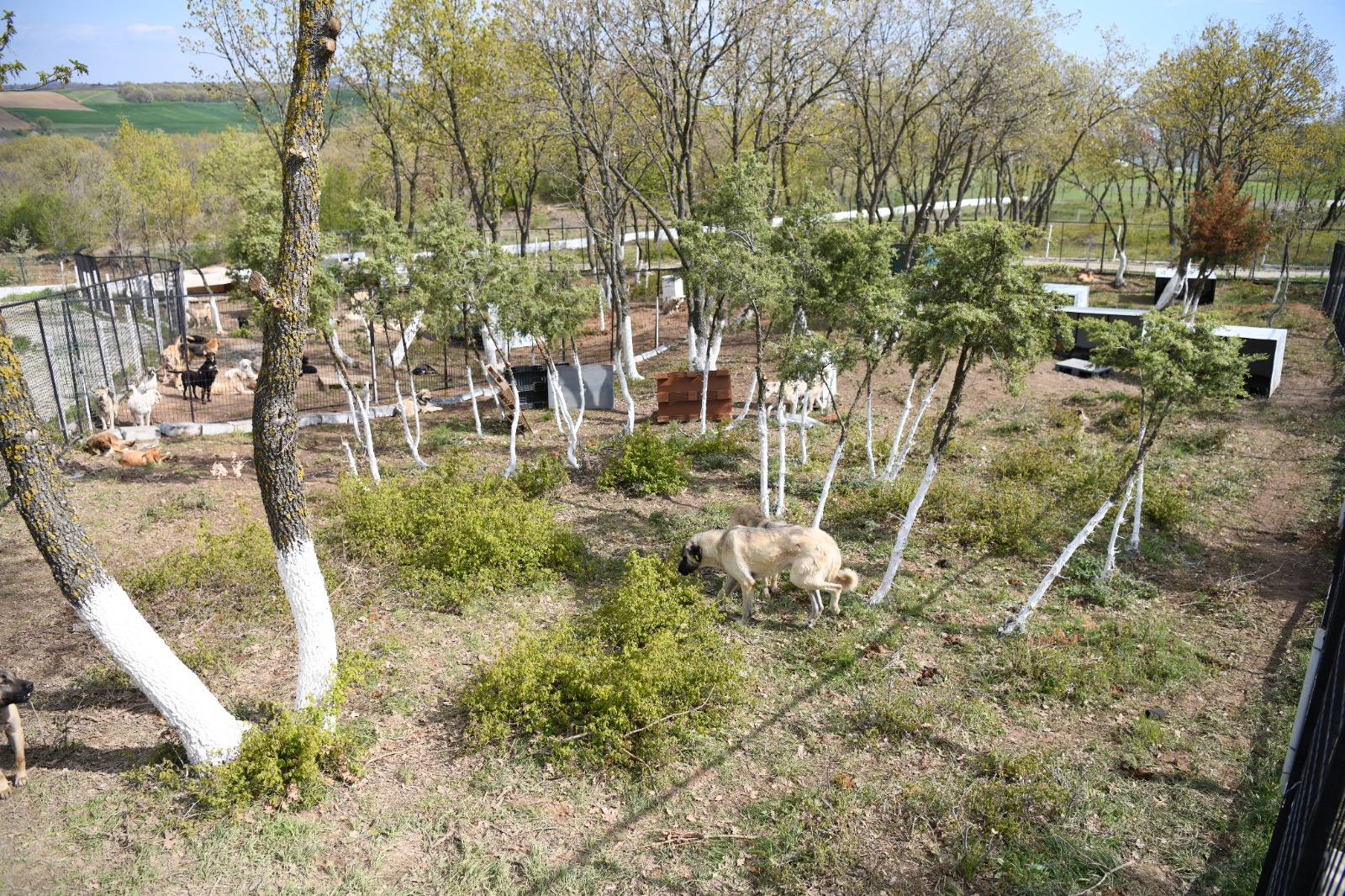 Keşan, Türkiye’ye örnek olmak istiyor