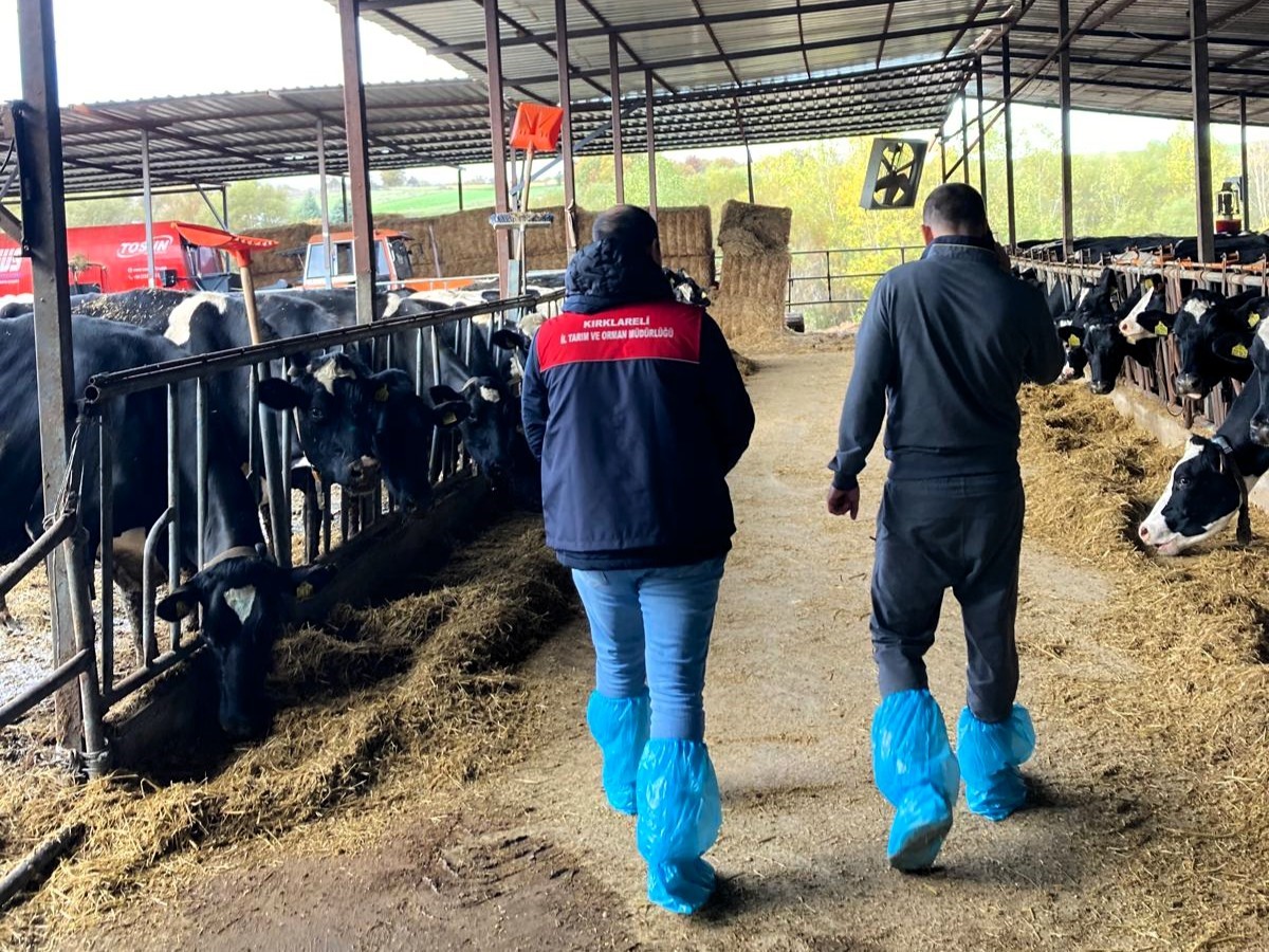 Ari hayvan işletmelerindeki çalışmalar incelendi