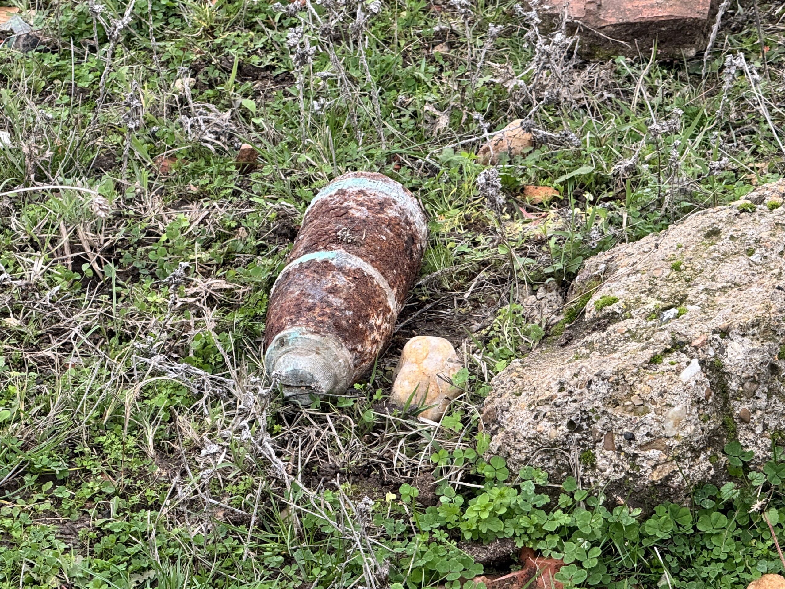 Mantar toplarken top mermisi buldular