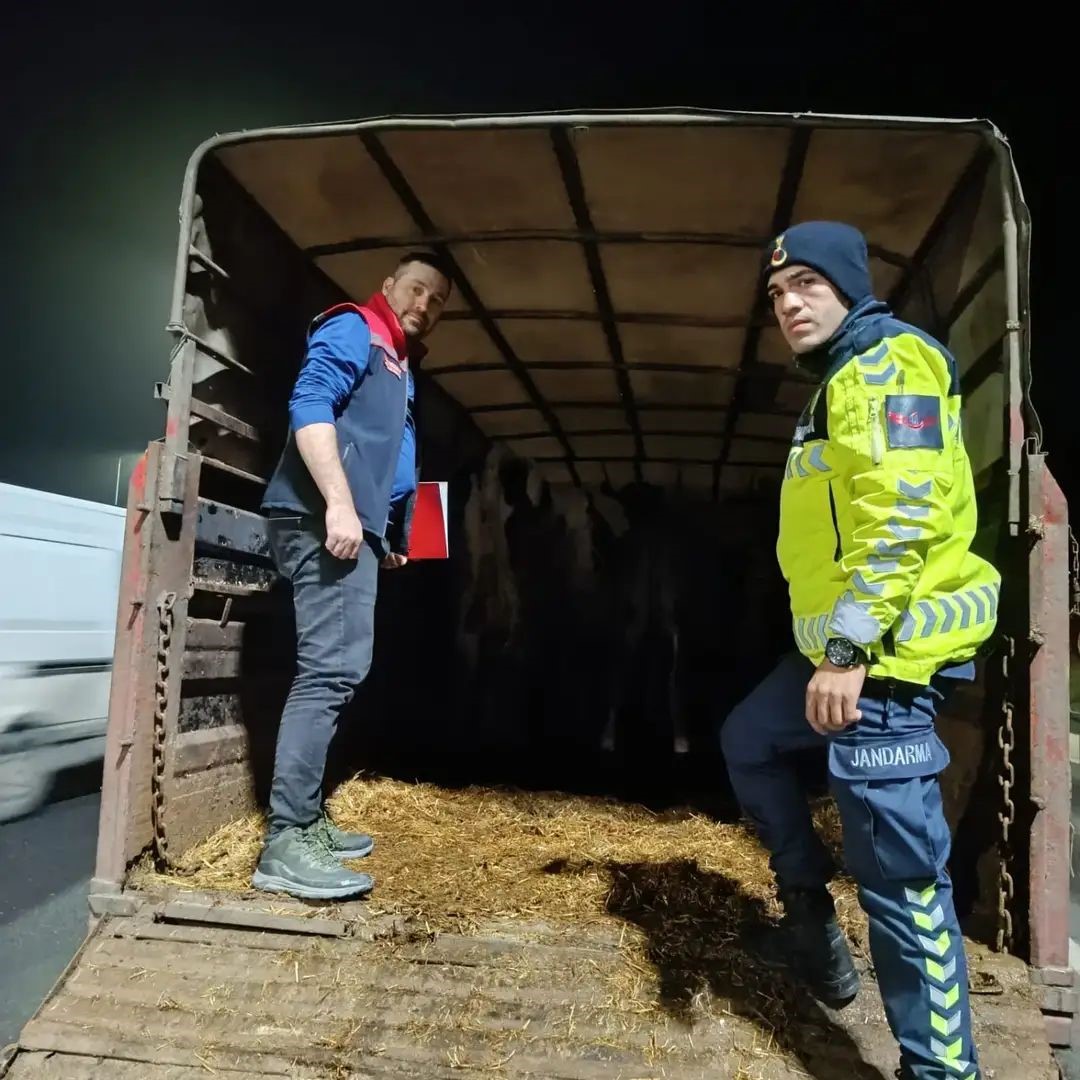 Belgesiz hayvan sevkine ceza