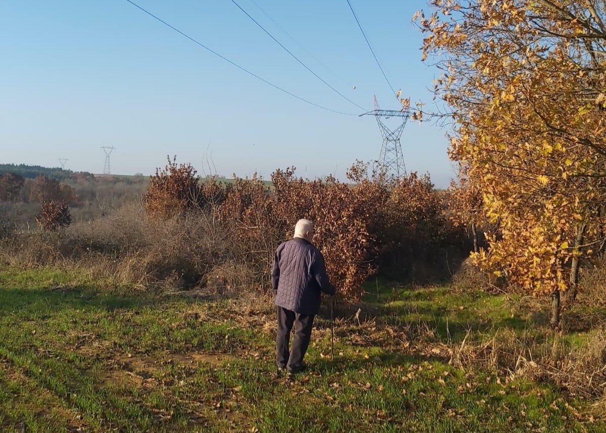 Yargıtay’dan kamu alacaklarıyla ilgili emsal karar