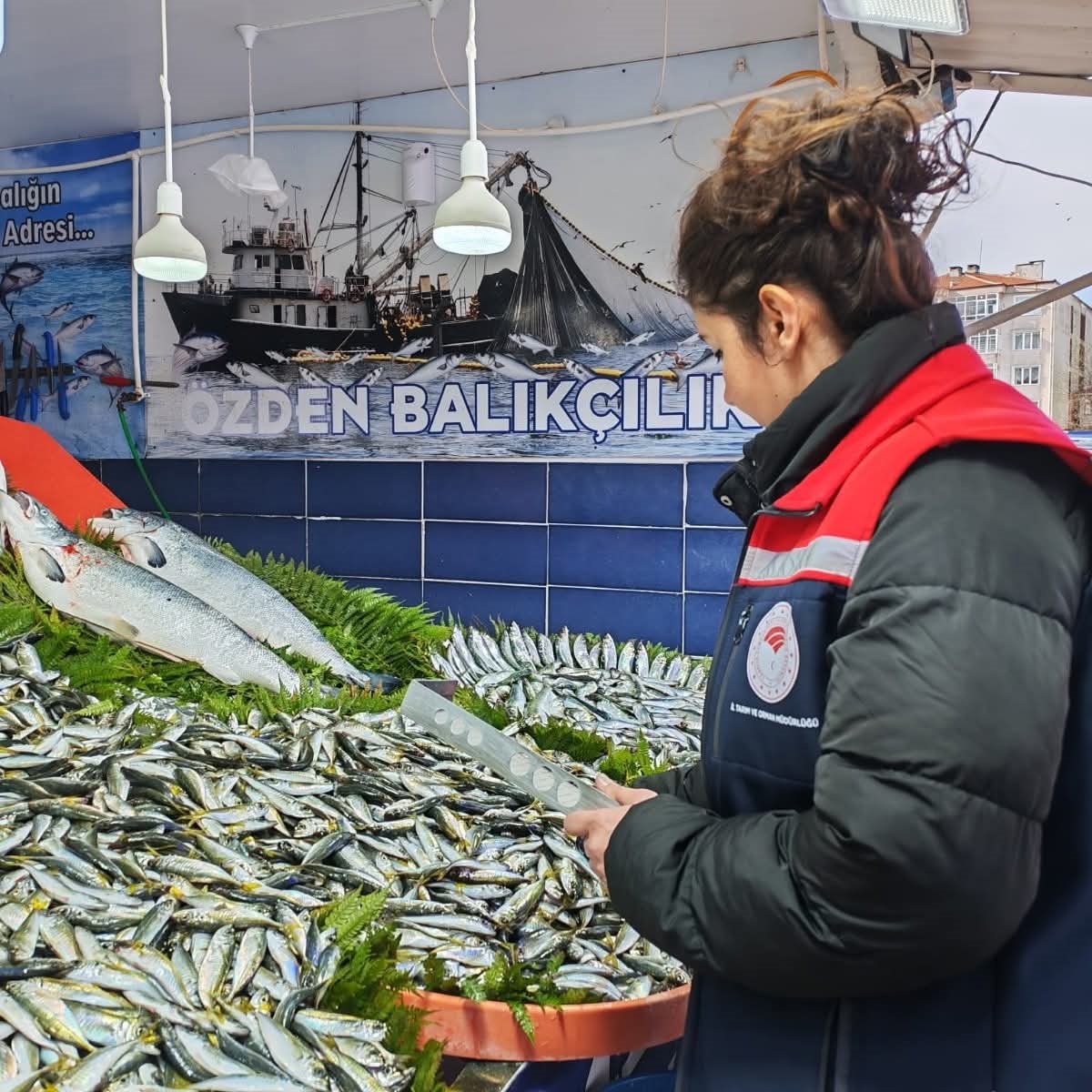 Tekirdağ’da su ürünleri denetimi