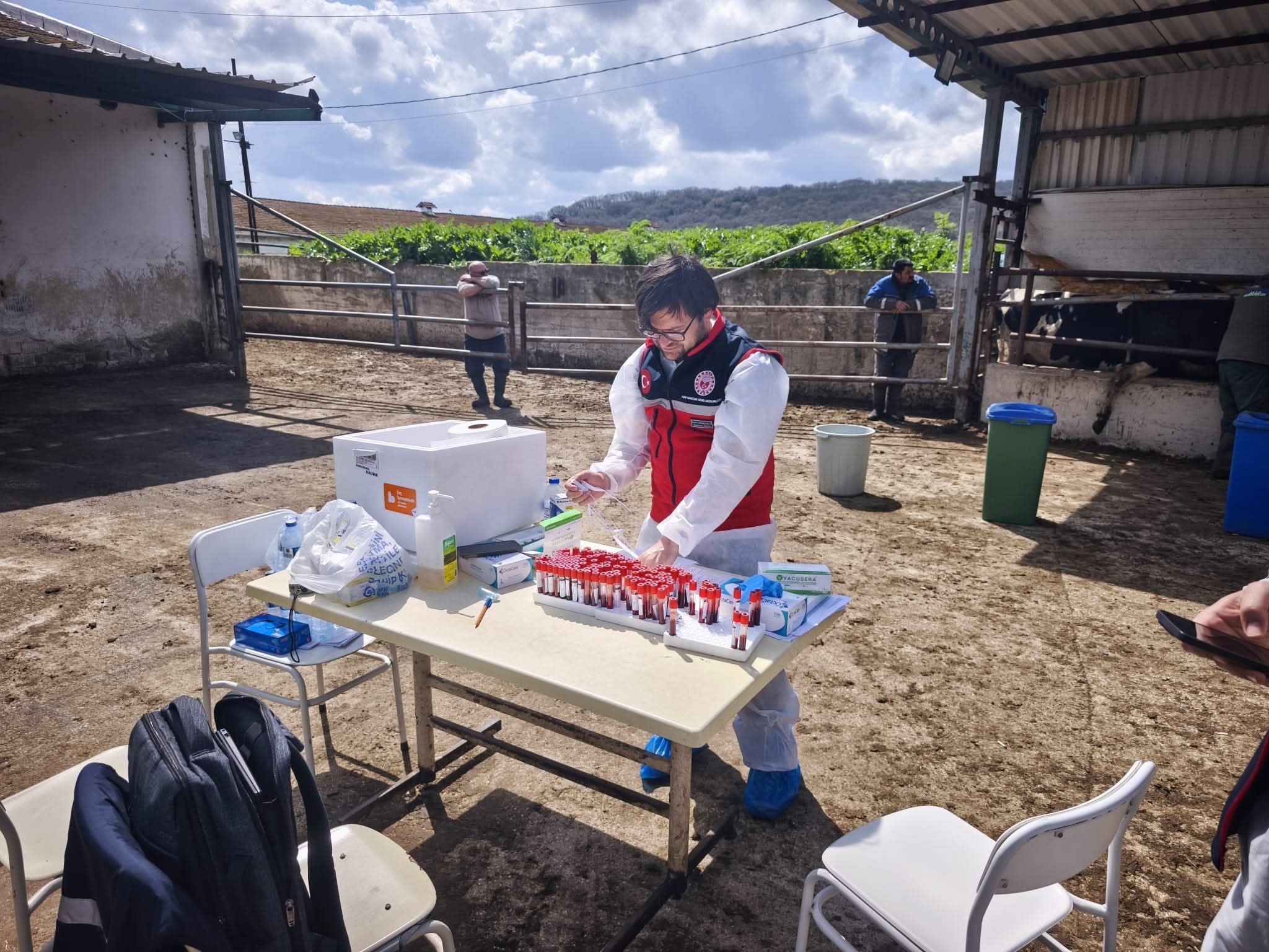 İthal damızlık hayvanlar için sıkı sağlık denetimi