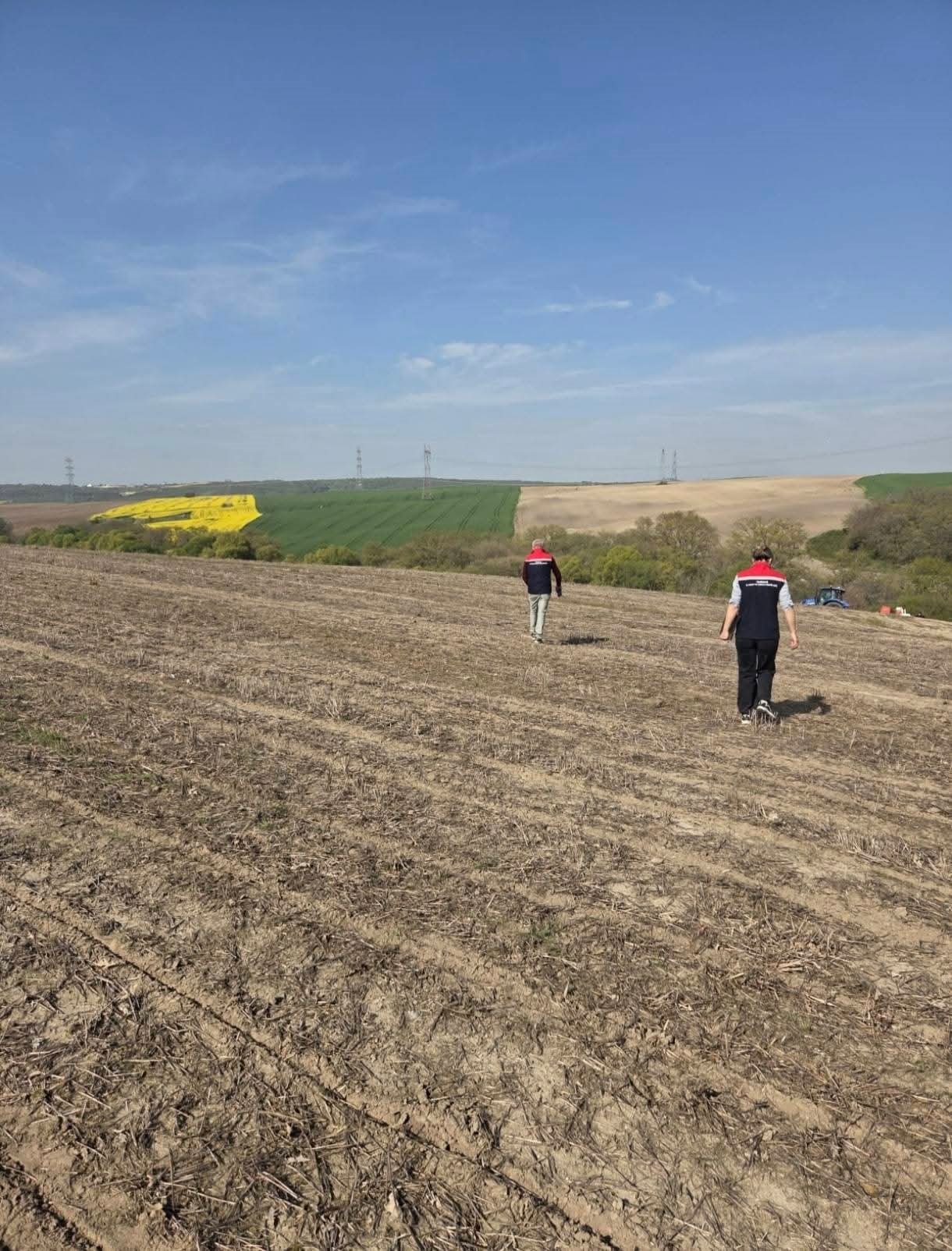 Ayçiçeği tohumları toprakla buluştu