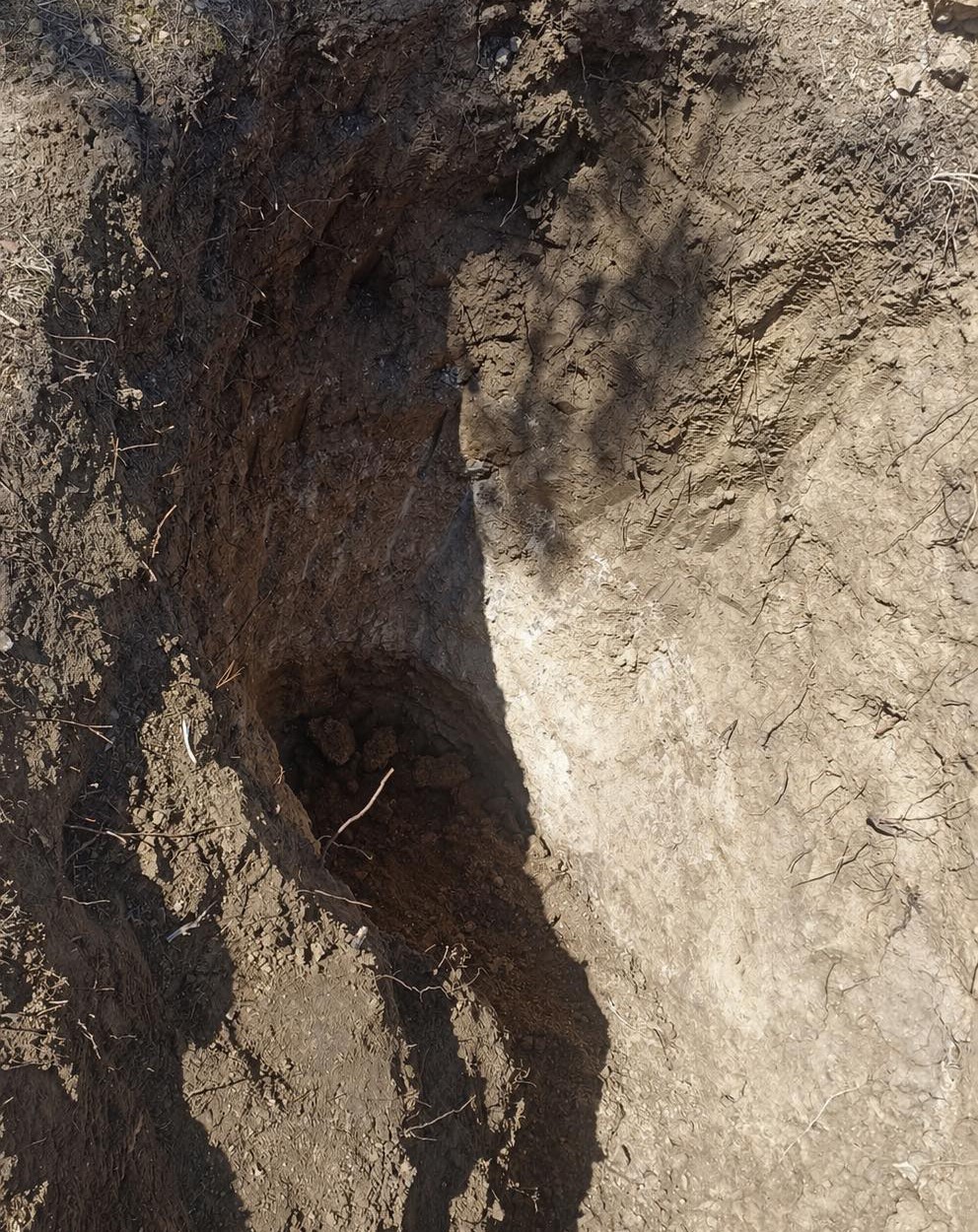 Mezarlıkta define aradılar